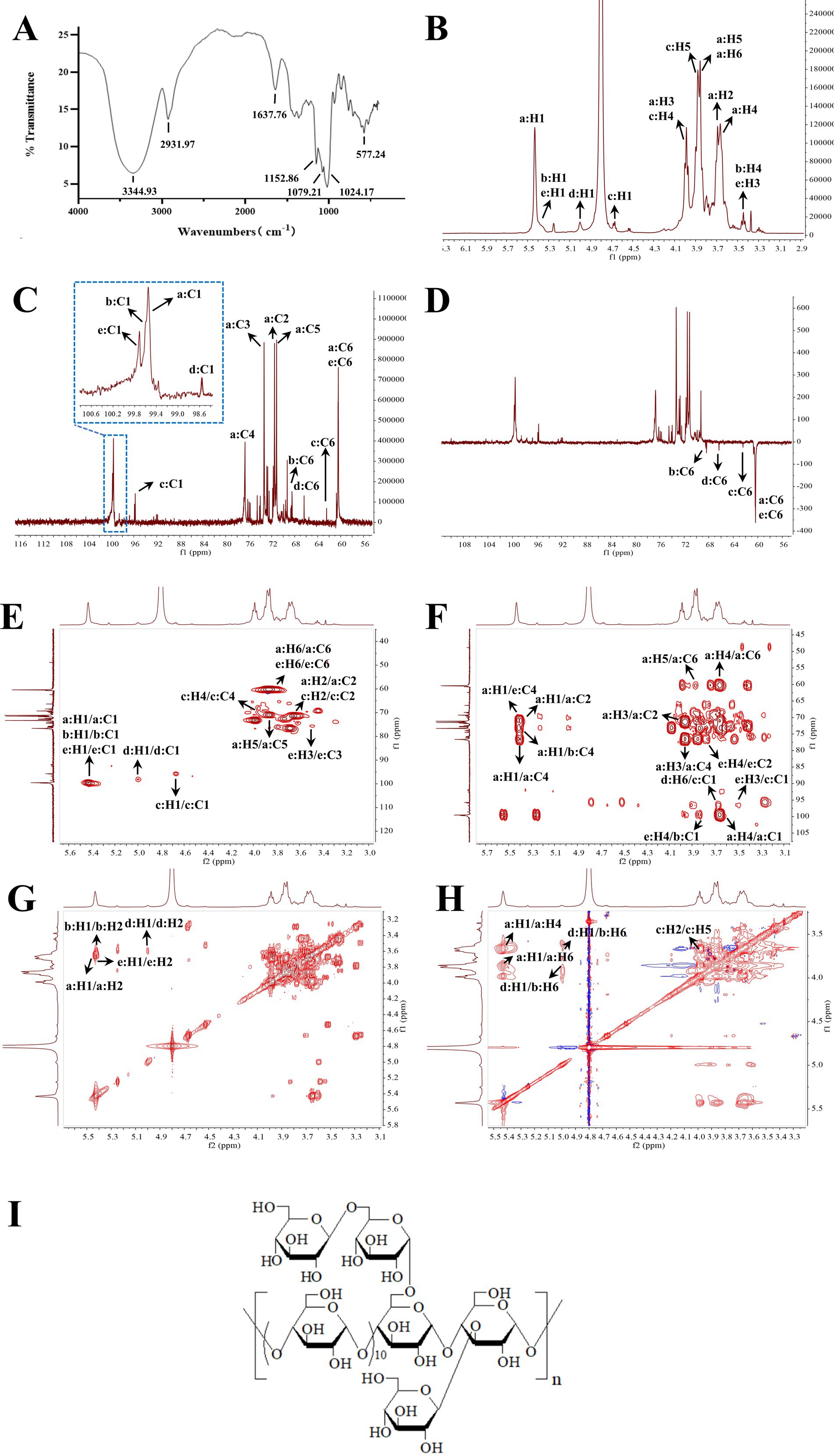 Spectroscopic analysis results are shown in multiple panels labeled A to F. Panel A depicts an infrared spectrum with peaks at specified wavenumbers. Panel B shows a nuclear magnetic resonance (NMR) spectrum, highlighting labeled hydrogen peaks. Panel C includes a carbon NMR spectrum with detailed peak labels and an inset for clarity. Panel D displays another NMR spectrum with distinct carbon peaks identified. Panels E and F illustrate two-dimensional NMR spectra, with cross-peaks labeled to show interactions between different atoms. Each panel provides detailed chemical data and peak assignments. Two NMR spectra plots labeled G and H are shown, with chemical shift values on the axes. Plot G features peaks and cross-peaks in red, indicating interactions between protons such as H1 and H2. Plot H shows similar data with red and blue peaks, highlighting interactions like H1 and H4. Below these, image I displays the chemical structure of a polysaccharide, illustrating repeating glucose units linked by glycosidic bonds and various hydroxyl groups.