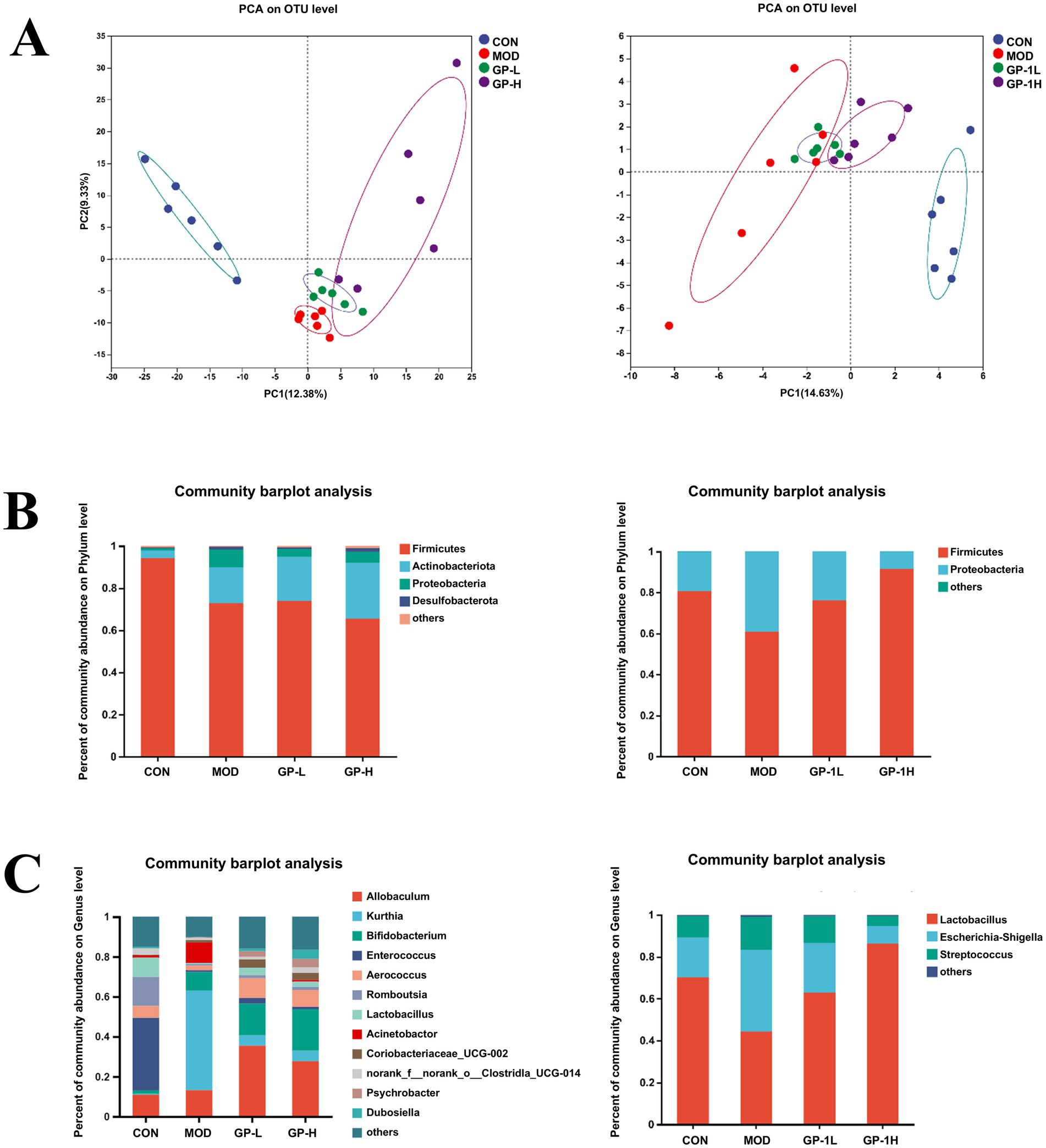 Panel A displays two PCA plots at the OTU level, with groupings CON, MOD, GP-L, and GP-H represented by different colors and ellipses indicating variance. Panel B consists of bar charts showing community abundance on the phylum level for the same groups, highlighting the distribution of Firmicutes, Actinobacteriota, Proteobacteria, Desulfobacterota, and others. Panel C features bar charts of community abundance on the genus level, detailing multiple genera such as Allobaculum, Kurthia, and Lactobacillus across the groups. Each chart provides a visual comparison of microbial populations.