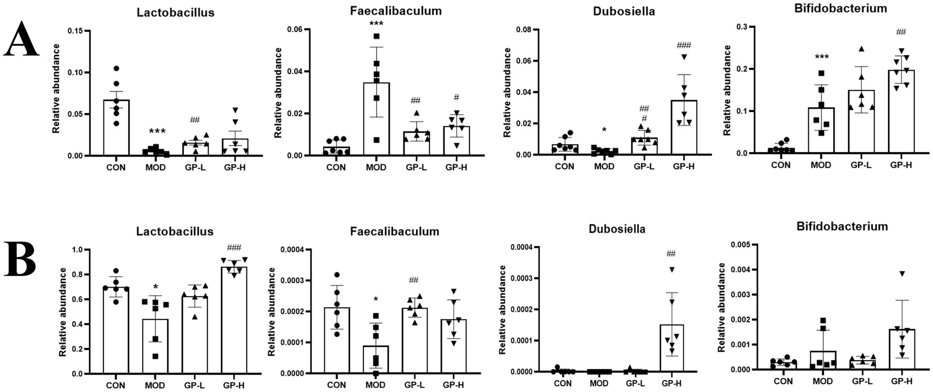 Bar graphs showing the relative abundance of various bacterial genera: Lactobacillus, Faecalibaculum, Dubosiella, and Bifidobacterium. Part A displays initial measurements, while Part B shows measurements after an intervention. Groups include CON, MOD, GP-L, and GP-H. Significant differences between groups are marked with asterisks and hashtags.