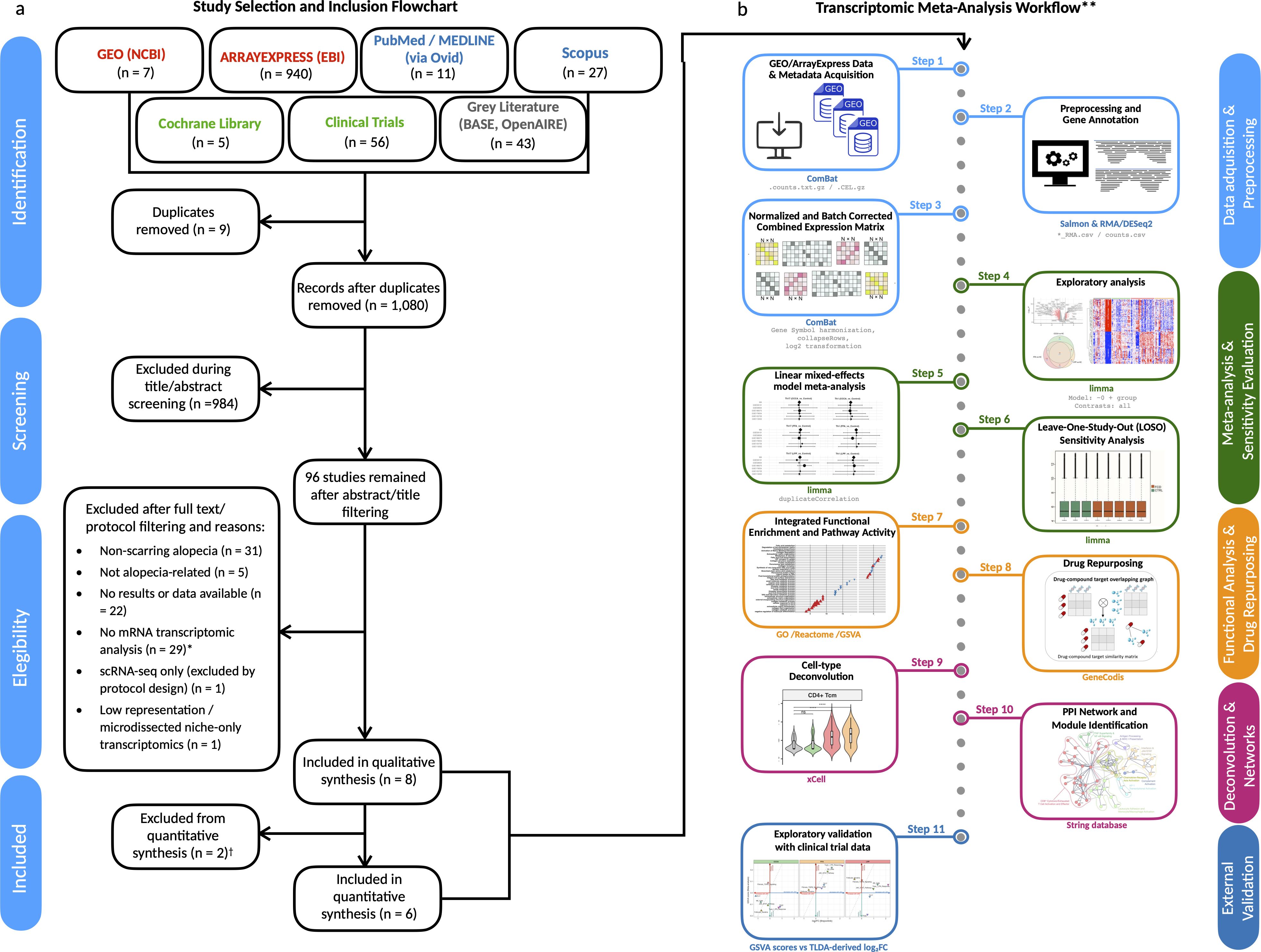 Study workflow diagram with two sections: (a) a study selection flowchart showing the identification, screening, eligibility, and inclusion process, starting with 1,089 records from various databases and narrowing to 6 studies for quantitative synthesis; (b) a transcriptomic meta-analysis workflow with 11 steps, from data acquisition to external validation, involving data preprocessing, exploratory analysis, meta-analysis, drug repurposing, deconvolution, and module identification. Color-coded steps guide through data-adjustment, functional analysis, and validation.