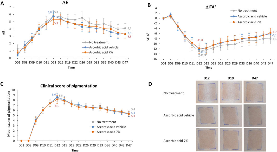 Graphs A, B, and C show the effects of different treatments over time on pigmentation metrics: ΔE, ΔITA°, and clinical pigmentation score. No treatment, ascorbic acid vehicle, and 7% ascorbic acid are compared. Graph A shows ΔE over 47 days, peaking around day 12 then declining. Graph B depicts ΔITA°, dipping to a low around day 12 before increasing. Graph C details mean pigmentation scores, peaking at day 12 and then decreasing. Images in D show photographs of skin pigmentation at days 12, 19, and 47 for each treatment. No significant difference was found or seen between the different treatments.