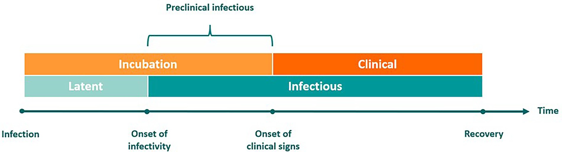 Timeline diagram showing stages of illness. It begins with