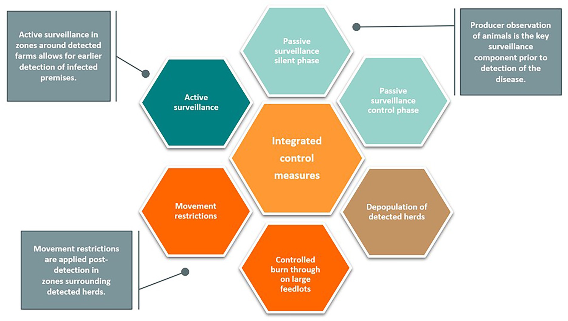 Hexagonal diagram depicting integrated control measures for surveillance. Central hexagon labeled
