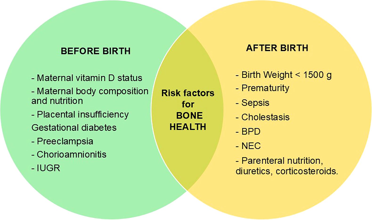 Venn diagram showing risk factors for bone health before and after birth. The left circle lists prenatal factors: maternal vitamin D status, body composition and nutrition, placental insufficiency, gestational diabetes, preeclampsia, chorioamnionitis, and intrauterine growth restriction. The right circle lists postnatal factors: birth weight under one thousand five hundred grams, prematurity, sepsis, cholestasis, bronchopulmonary dysplasia (BPD), necrotizing enterocolitis (NEC), and parenteral nutrition, diuretics, and corticosteroids.