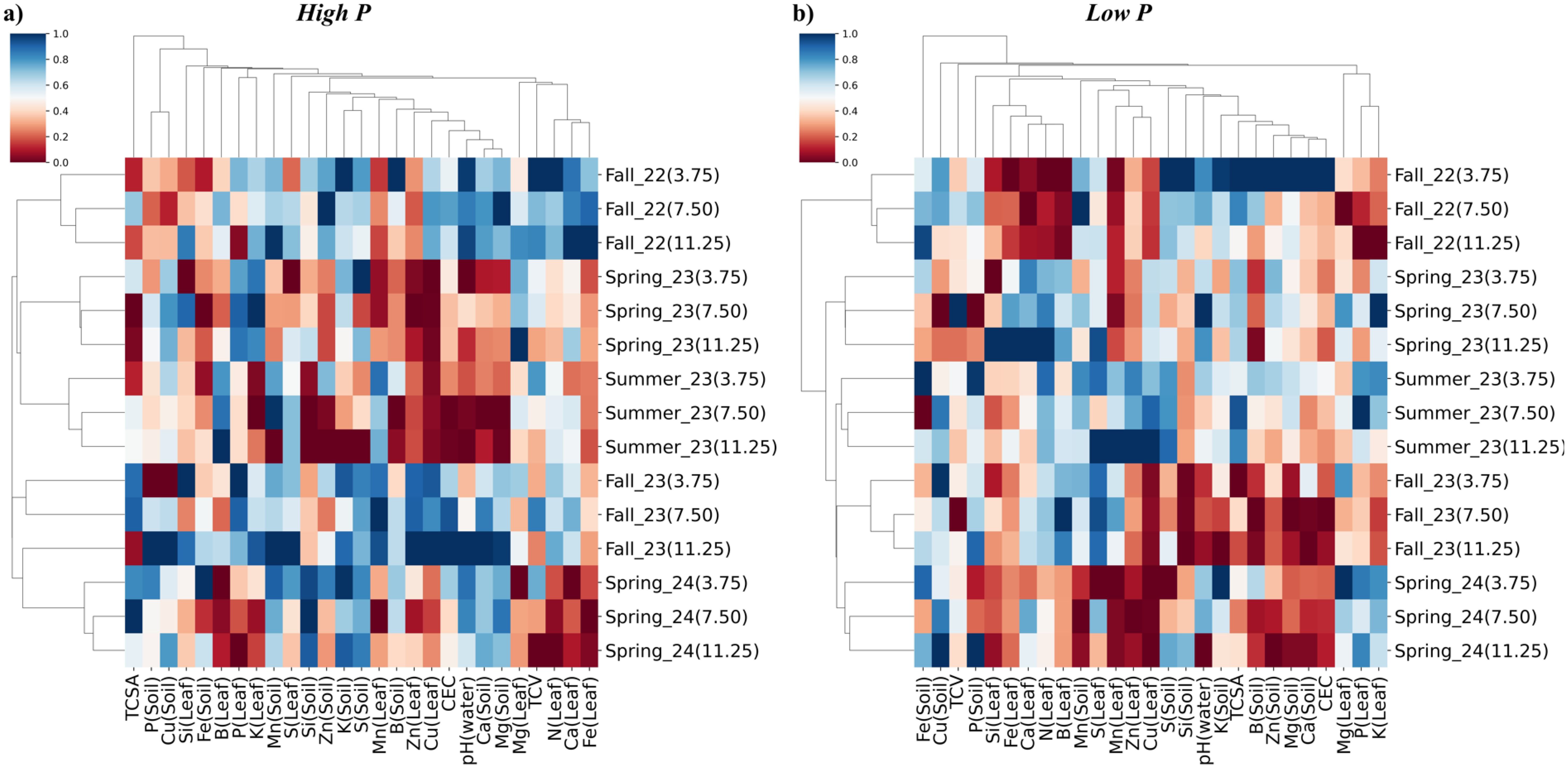 Two clustered heatmaps labeled a) High P and b) Low P depict color-coded data from blue to red, representing values from 1.0 to 0.0. Columns denote various elements like Fe(Soil), Cu(Soil), and others, while rows represent seasonal data points such as Fall_22 and Spring_24, each with numeric values. Dendrograms on top illustrate hierarchical clustering of the elements and data points.