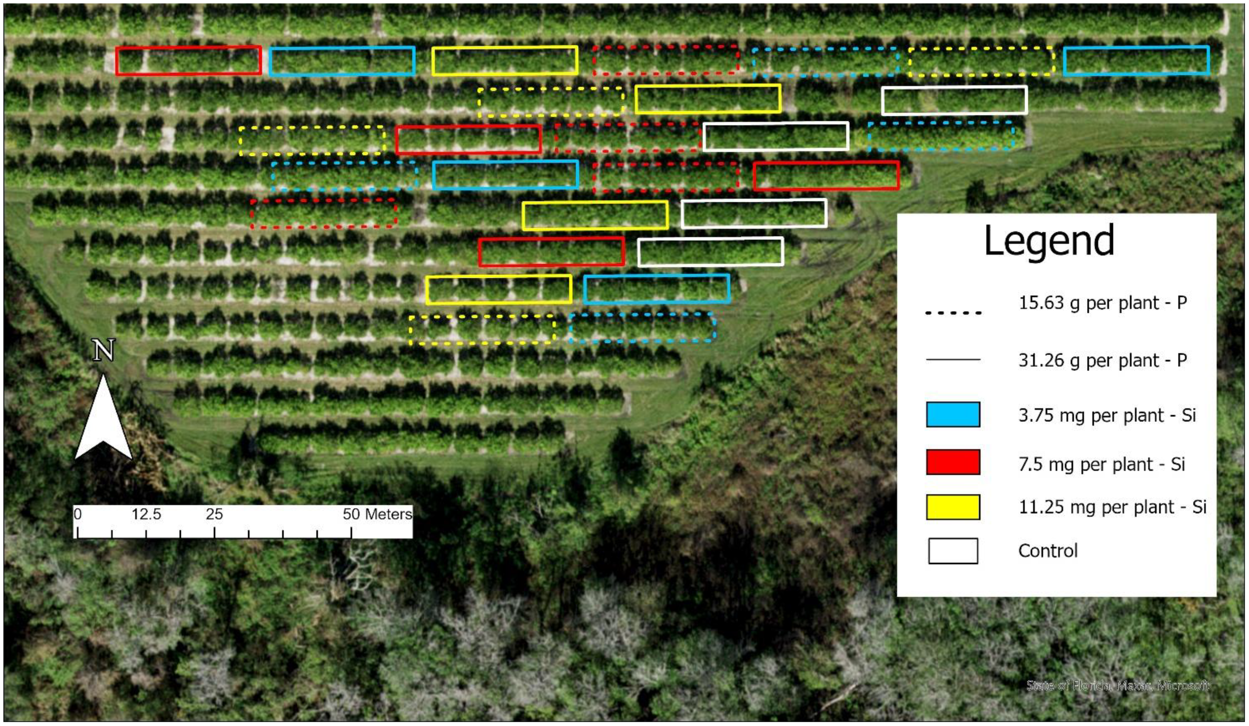 Aerial view of an agricultural field with various sections marked in different colors and patterns. A legend on the right indicates phosphorus (P) and silicon (Si) treatments, with black dots for 15.63g per plant, solid lines for 31.26g per plant, blue for 3.75mg, red for 7.5mg, yellow for 11.25mg, and white for control. A compass indicates north, and a scale bar measures 0 to 50 meters. Trees and vegetation surround the field.