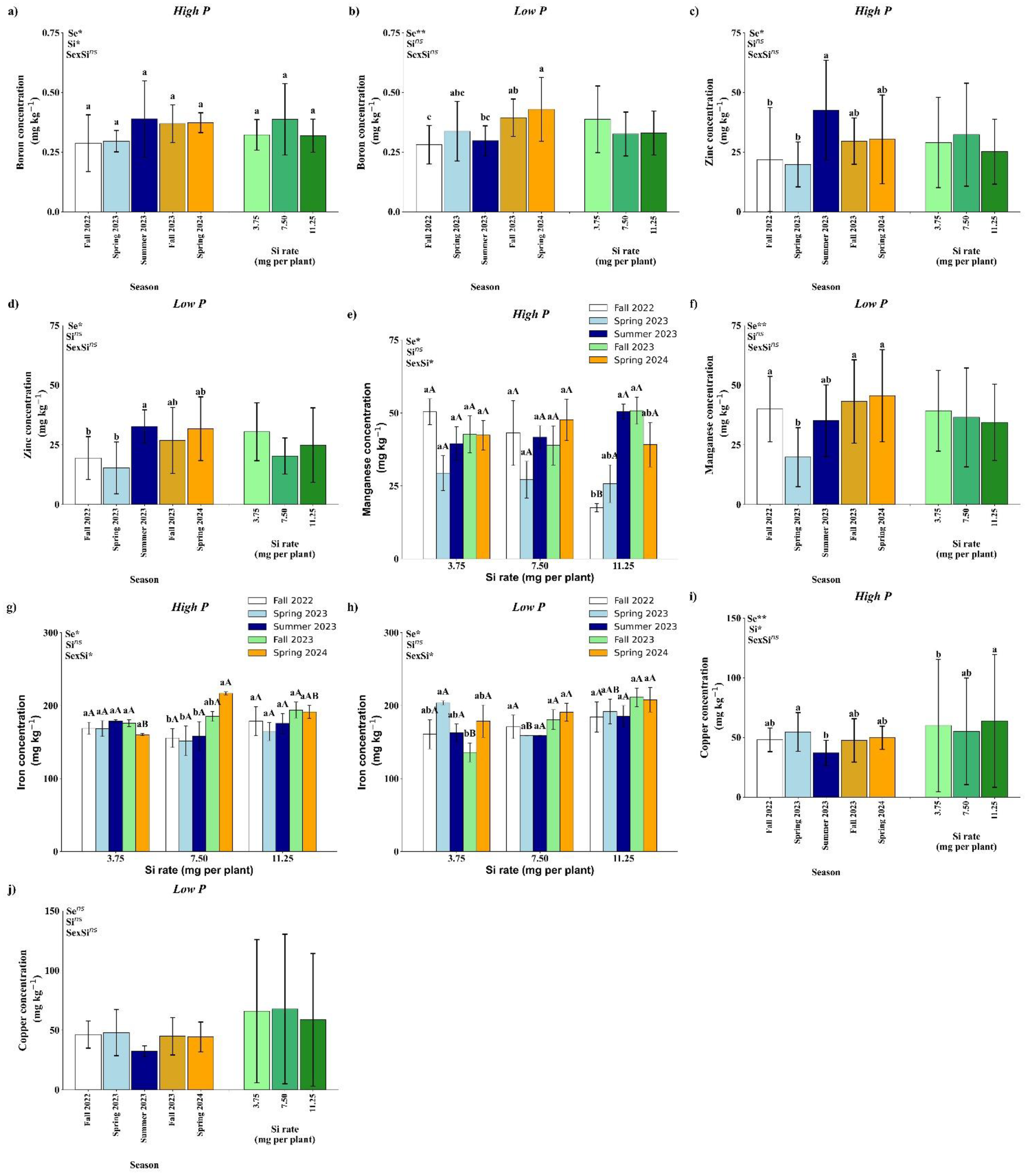 Bar graphs showing the concentrations of various elements (boron, zinc, manganese, iron, and copper) in plants under different phosphorus (P) conditions and silicon (Si) rates across seasons (Fall 2022, Spring 2023, Summer 2023, Fall 2023, Spring 2024). Each graph is labeled by element and phosphorus condition (High P and Low P), displaying values in milligrams or micrograms per plant. Statistical markers indicate significant differences, with colors distinguishing seasons.