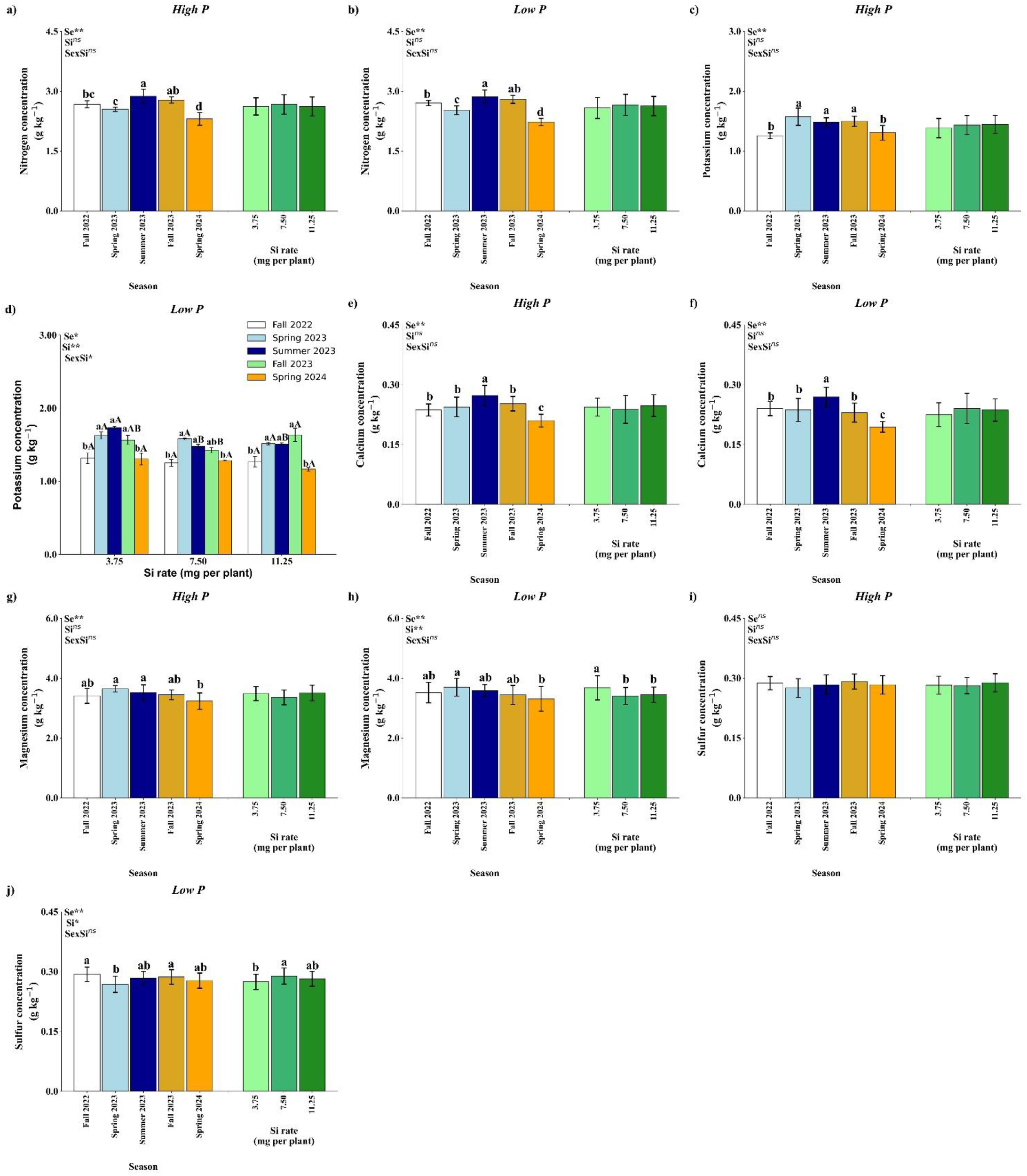 Grouped bar charts display nutrient concentrations under different phosphorus (P) levels across seasons and silicon (Si) rates. Panels a to j show how nitrogen, potassium, calcium, magnesium, and sulfur concentrations vary. Significant differences are indicated by letters above bars. Si rates range from 0 to 11.25 milligrams per plant, with seasonal comparisons across Fall 2022, Spring 2023, Summer 2023, Fall 2023, and Spring 2024. Error bars represent variability.