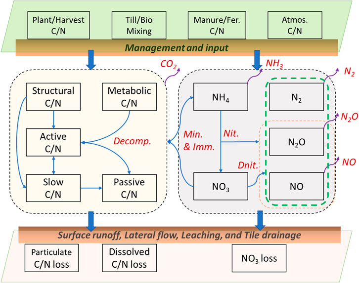 Diagram illustrating carbon and nitrogen cycling in ecosystems. Inputs include plant, harvest, tillage, manure, and atmospheric sources. Processes involve decomposition, mineralization, nitrification, and denitrification. Outputs include carbon dioxide, ammonia, nitrate, nitrogen gases, and nitrous oxide, with losses through runoff, leaching, and drainage.