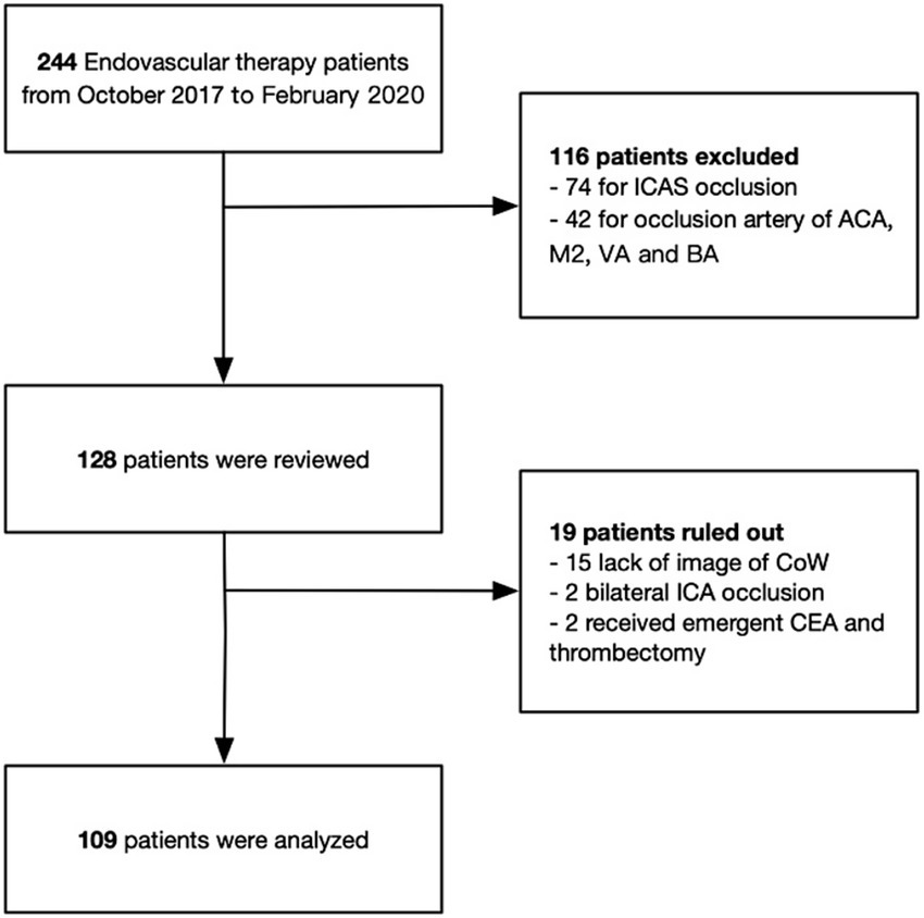 Flowchart of patient selection for endovascular therapy from October 2017 to February 2020. Begins with 244 patients; 116 excluded due to ICAS occlusion and arterial occlusions. 128 patients reviewed; 19 ruled out due to lack of CoW imaging, bilateral ICA occlusion, or emergent CEA and thrombectomy. 109 patients analyzed.