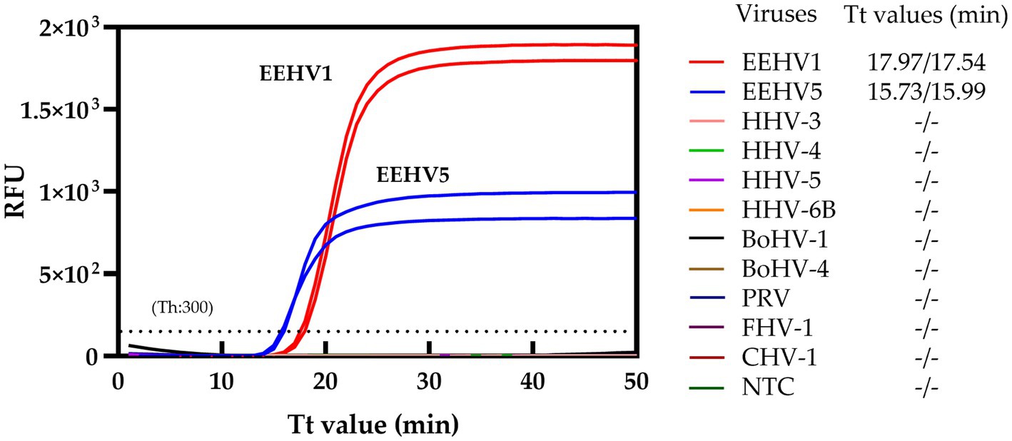 Graph showing relative fluorescence units (RFU) versus Tt value in minutes. EEHV1 and EEHV5 have marked fluorescence increases, peaking at around one thousand five hundred and one thousand two hundred RFU, respectively. Other viruses, including HHV-3, HHV-4, and others, show no significant fluorescence. A legend with corresponding colors and Tt values is on the right.