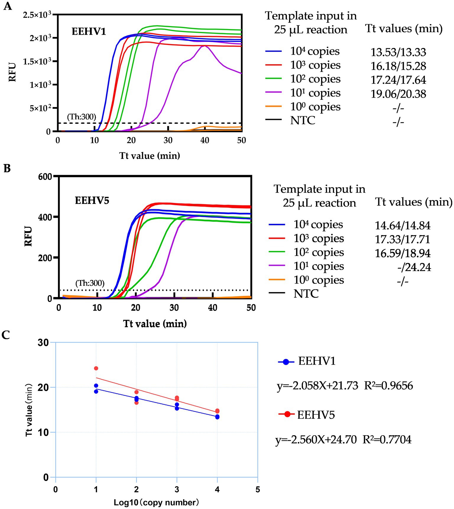 Graphs illustrate quantitative PCR results for EEHV1 and EEHV5. Panel A shows fluorescence vs. time for EEHV1 with increasing template copies indicating earlier detection. Panel B displays similar data for EEHV5. Panel C plots Tt value versus log copy number, showing linear regression for both EEHV1 and EEHV5 with corresponding equations and R-squared values.