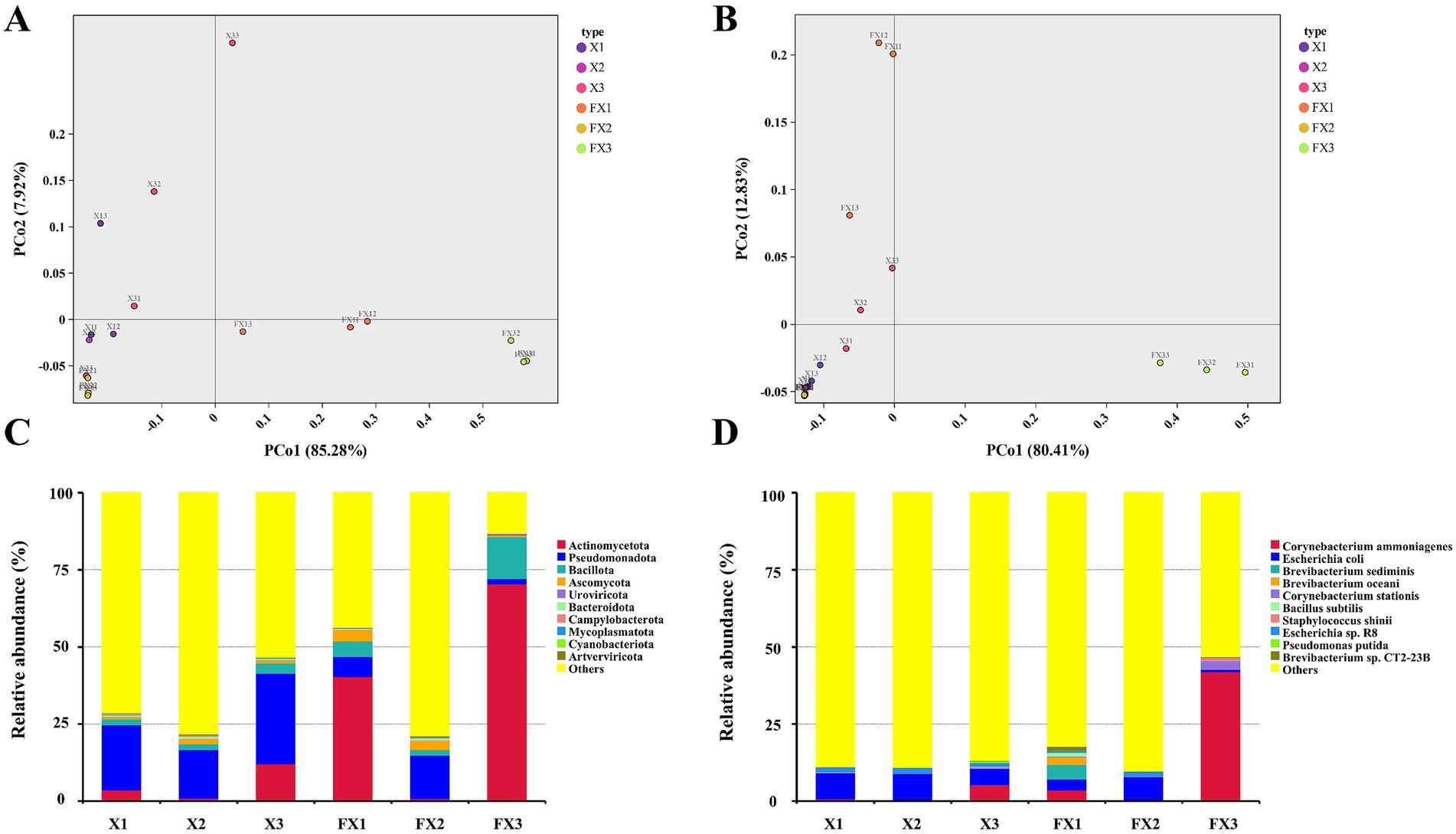 Panel A shows a PCoA plot with two axes: PCo1 (85.28% variance) and PCo2 (7.92% variance), with samples grouped by type in different colors. Panel B presents a similar plot with PCo1 (80.41% variance) and PCo2 (12.83% variance). Panel C is a stacked bar chart illustrating the relative abundance of different bacteria phyla across samples X1, X2, X3, FX1, FX2, and FX3. Panel D shows another stacked bar chart displaying the relative abundance of bacterial species within the same samples. Each legend identifies the corresponding types and bacteria.