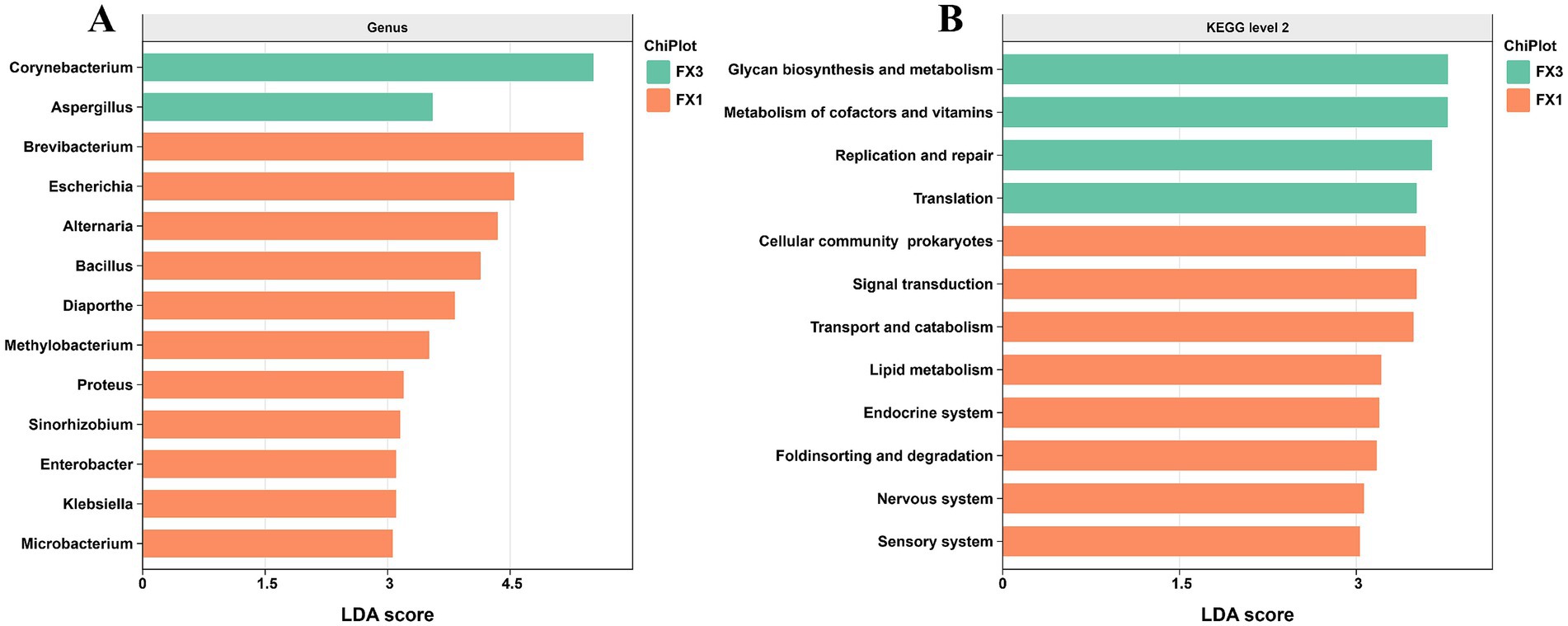 Bar charts showing LDA scores for two datasets. Chart A displays the genus with Corynebacterium and Aspergillus in green (FX3) and others in orange (FX1). Chart B shows KEGG level 2 categories, with Glycan biosynthesis in green (FX3) and others, like Metabolism of cofactors, in orange (FX1).