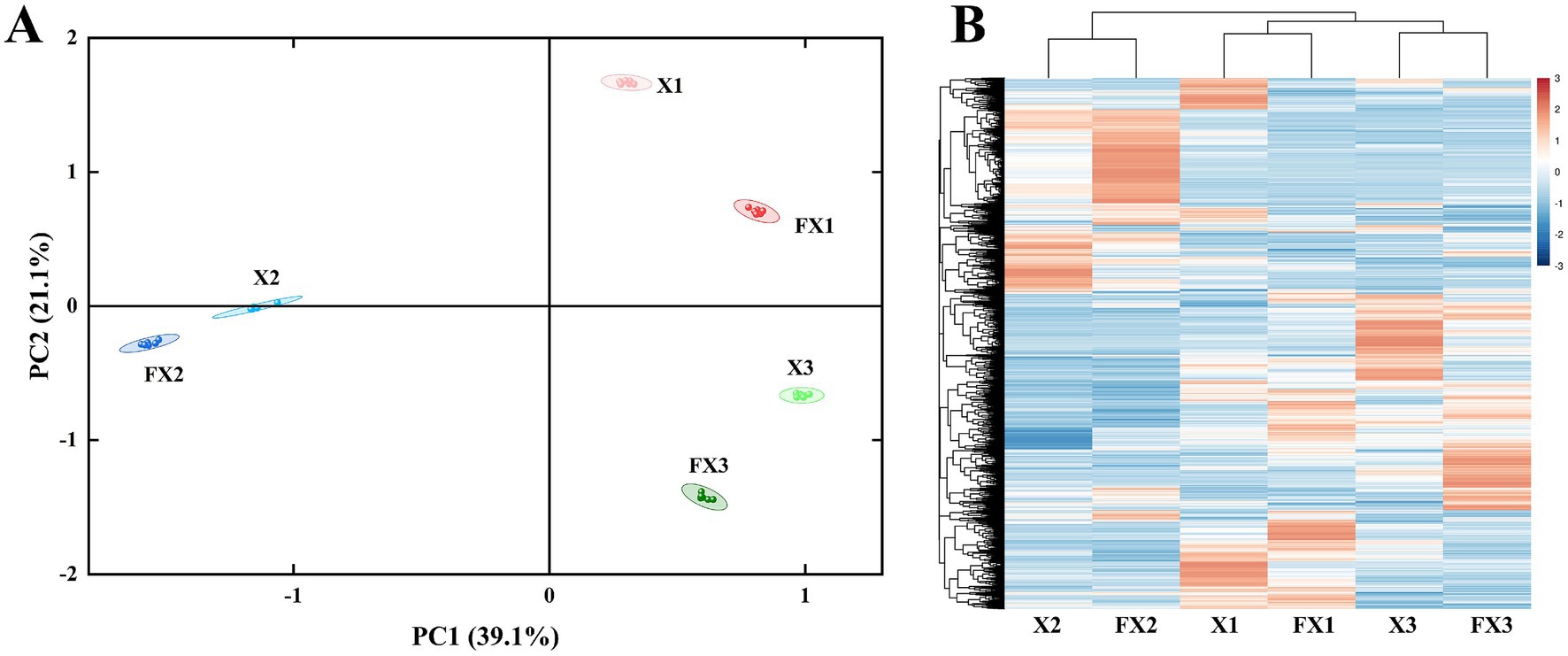 Panel A shows a PCA plot with points labeled X1, FX1, X2, FX2, X3, and FX3. The x-axis is PC1 (39.1%), and the y-axis is PC2 (21.1%). Panel B displays a heatmap with hierarchical clustering. Columns are labeled X2, FX2, X1, FX1, X3, and FX3, and there's a color gradient from blue to red indicating data values.