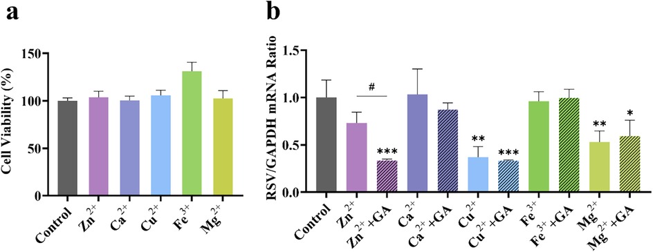 Graph a shows cell viability percentages for control and various metal ions: Zn²⁺, Ca²⁺, Cu²⁺, Fe³⁺, Mg²⁺. Graph b shows RSV/GAPDH mRNA ratios for control, metal ions, and their combination with GA. Significant differences are indicated by stars and a hash symbol.