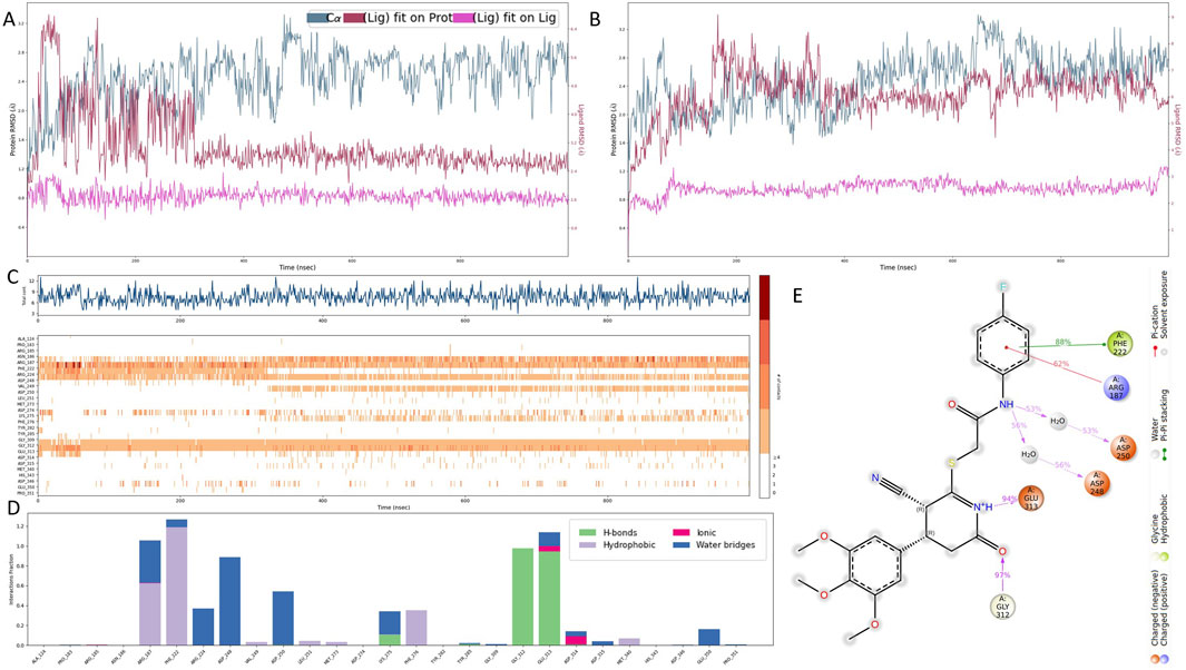 Graphical data analysis of molecular dynamics. Panels A and B show graphs of protein RMSD over time with different fits. Panel C displays a contact frequency matrix with a timeline. Panel D presents a histogram of interaction fractions including hydrogen bonds, hydrophobic, ionic, and water bridges. Panel E illustrates a molecular interaction diagram, highlighting key residues and bonds such as hydrogen, pi-stacking, and solvent exposure.