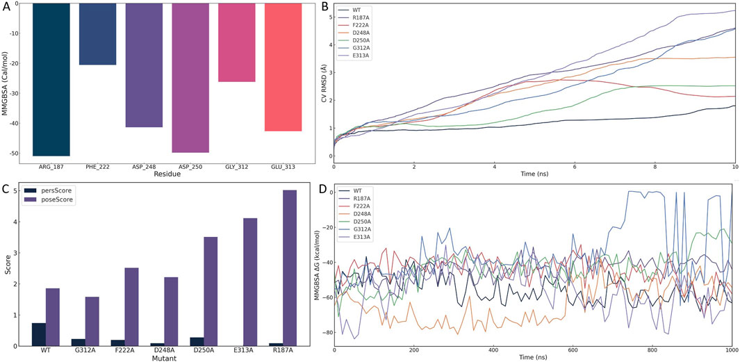 Four-panel graph: (A) Bar chart showing MMGBSA values for residues ARG_187, PHE_222, ASP_248, ASP_250, GLY_312, GLU_313. (B) Line graph comparing RMSD values over time for wild type and six mutants. (C) Bar chart displaying persScore and poseScore for wild type and mutants G312A, F222A, D248A, D250A, E313A, R187A. (D) Line graph showing MMGBSA ΔG values over time for wild type and six mutants, with varying fluctuation patterns.