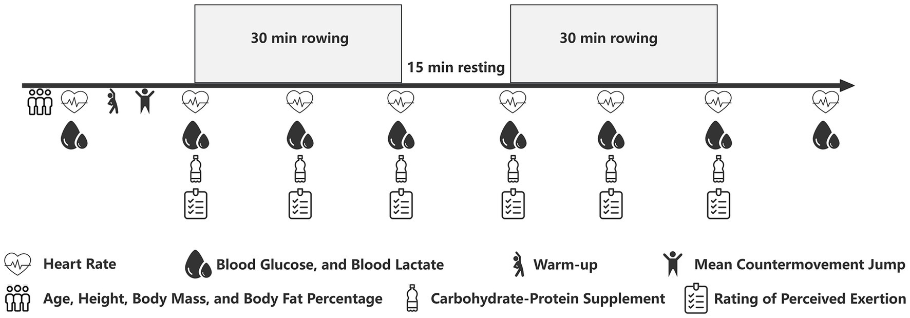Flowchart illustrating a workout sequence. It includes two sets of thirty-minute rowing sessions with a fifteen-minute rest in between. Measurements taken include heart rate and blood tests, indicated by icons for heart and blood drops. Warm-up, carbohydrate-protein supplements, and body metrics like age, height, mass, and fat percentage are included. Mean countermovement jump and perceived exertion are also noted.