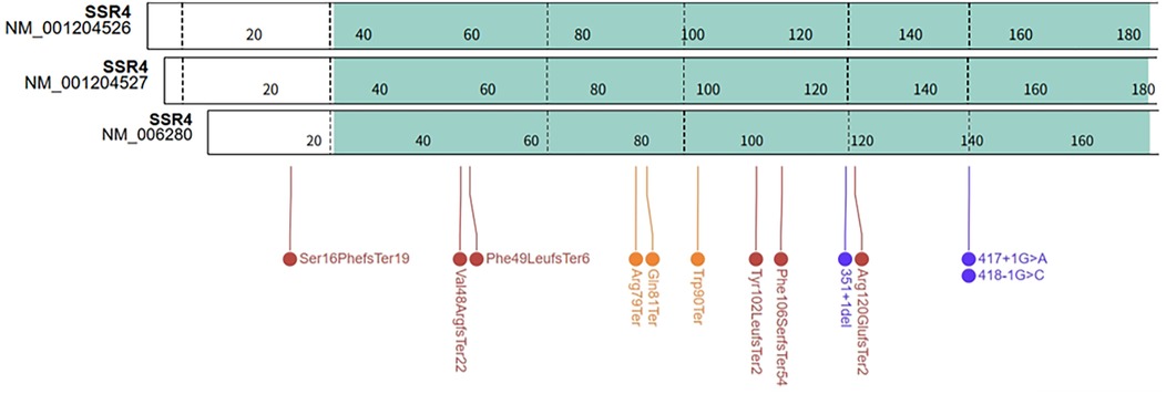 Diagram showing three SSR4 protein sequences with mutation sites. The sequences are labeled NM_001204526, NM_001204527, and NM_006280. Mutations include Ser16PhefsTer19, Phe49LeufsTer6, Val48ArgfsTer22, and others, marked by colored circles.