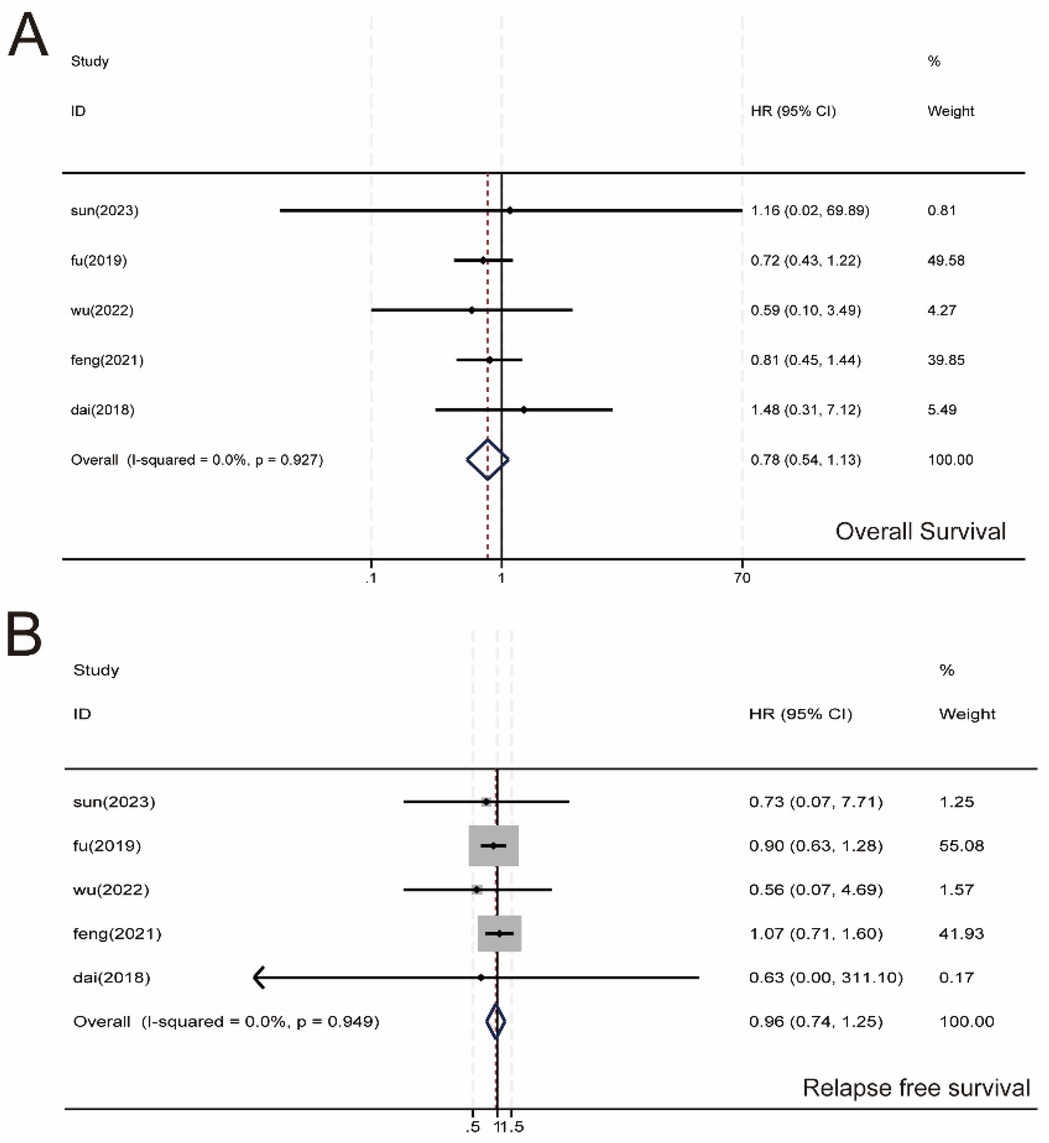 Forest plot depicting two analyses. Panel A shows overall survival with studies sun (2023), fu (2019), wu (2022), feng (2021), and dai (2018), and an overall hazard ratio (HR) of 0.78 (95% CI: 0.54, 1.13). Panel B illustrates relapse-free survival with the same studies, yielding an overall HR of 0.96 (95% CI: 0.74, 1.25). Both panels indicate no heterogeneity (I-squared = 0.0%). Error bars represent 95% confidence intervals.