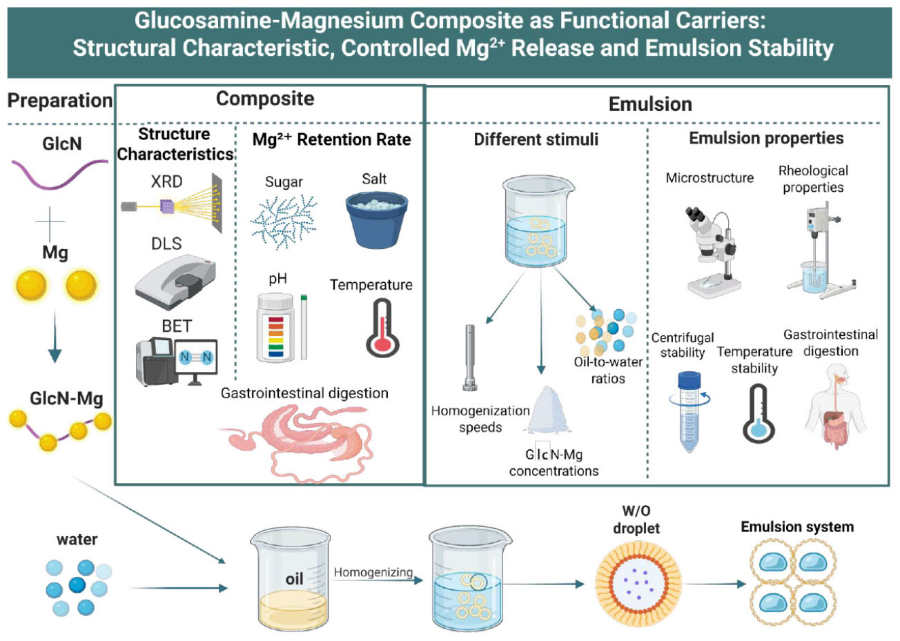 Preparation and application steps for glucosamine-magnesium composite as functional carriers are illustrated. The process involves preparation with glucosamine (GlcN) and magnesium (Mg), followed by characterization using XRD, DLS, and BET methods. The composite’s Mg2+ retention rate depends on sugar, salt, pH, temperature, and digestion. Emulsion formation is depicted with parameters like oil-to-water ratio, homogenization, and concentrations. Emulsion properties include microstructure, rheological and centrifugal stability, temperature stability, and digestion.