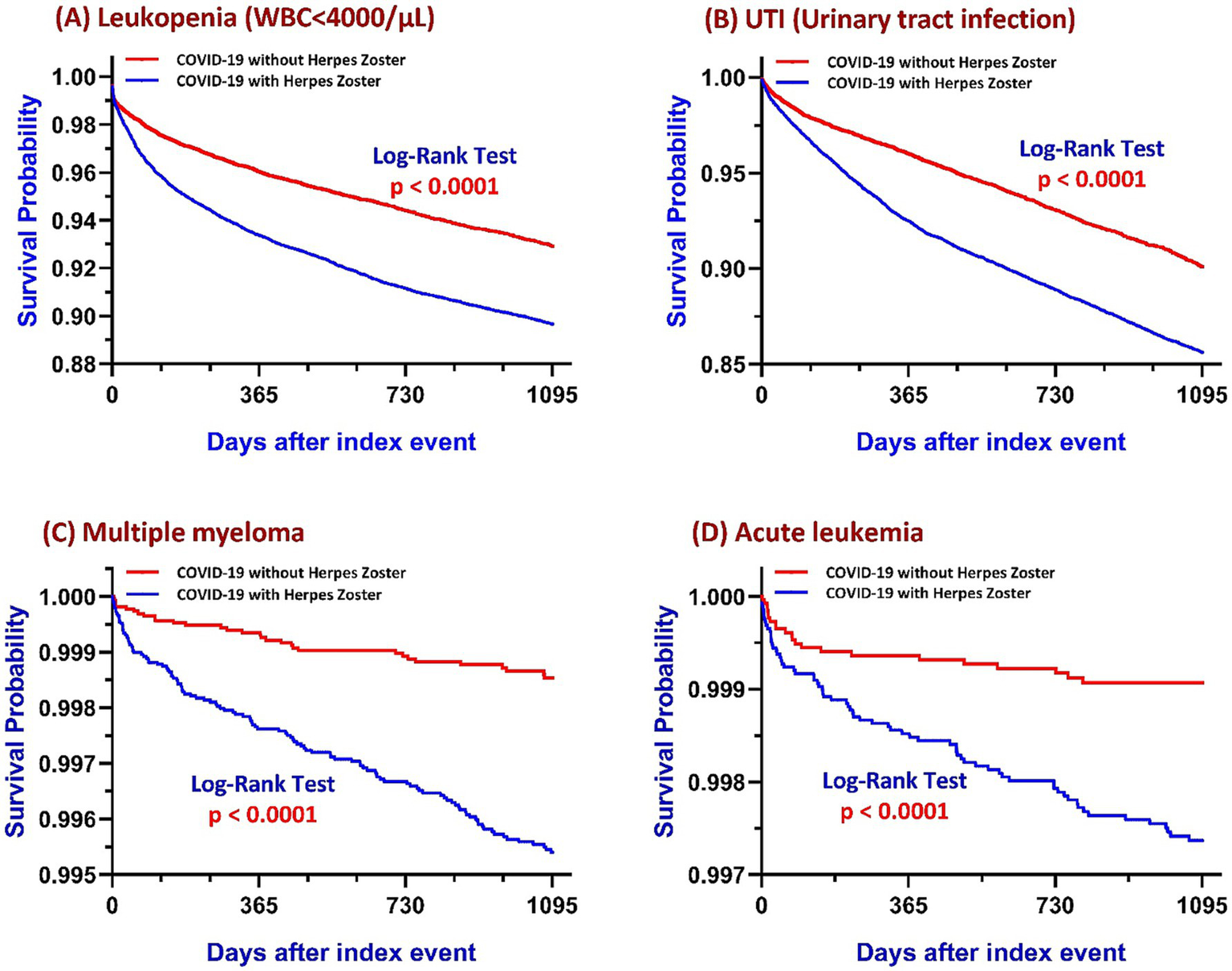 Four line charts compare survival probabilities over time for COVID-19 patients with and without Herpes Zoster. Graphs (A) Leukopenia, (B) Urinary Tract Infection, (C) Multiple Myeloma, and (D) Acute Leukemia show survival probability decreasing more for those with Herpes Zoster, with significant differences (p < 0.0001) based on Log-Rank Tests. Each chart shows days after the index event on the x-axis and survival probability on the y-axis.