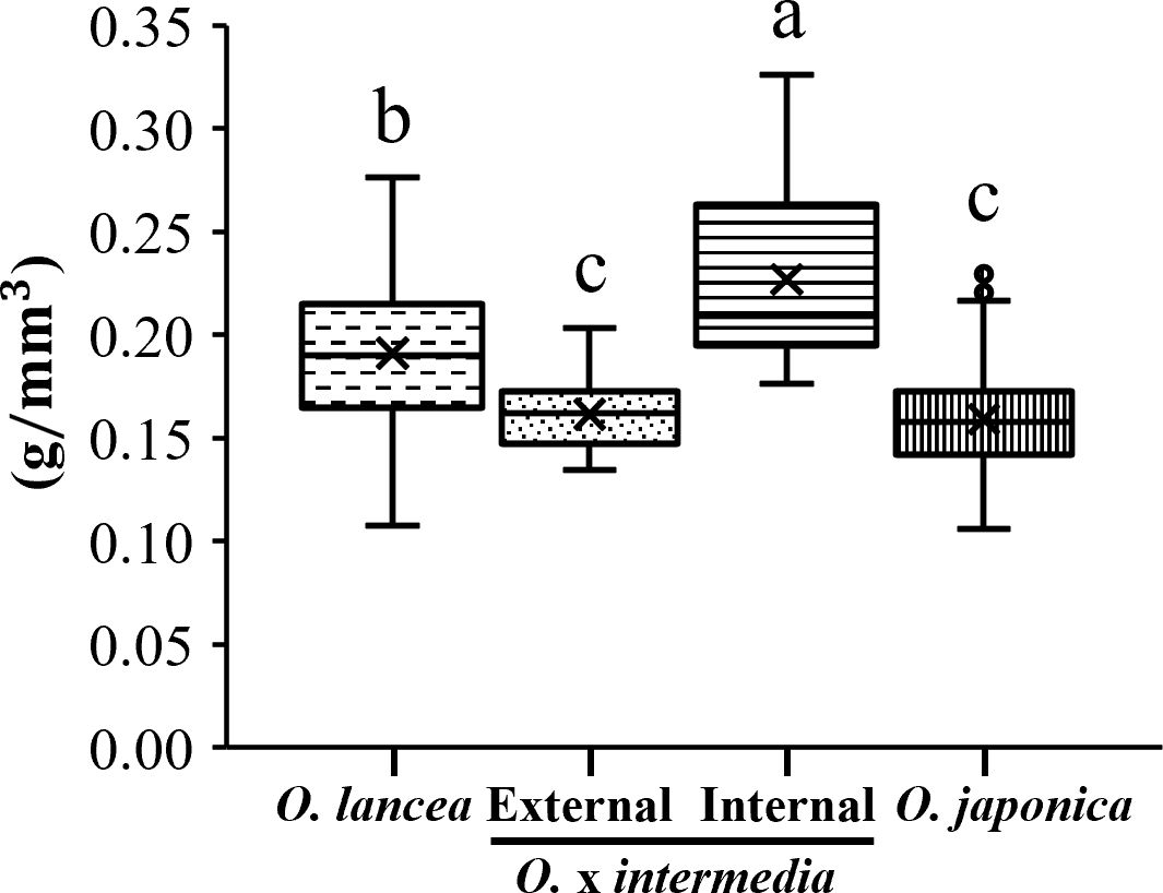 Box plot comparing density in grams per cubic millimeter for four plant groups: *O. lancea* (External), *O. x intermedia*, Internal, and *O. japonica*. *O. x intermedia* has the highest mean density at approximately 0.31, labeled 'a'. *O. lancea* and *O. japonica* show similar densities, around 0.20, labeled 'b' and 'c', respectively. Internal has the lowest density, around 0.13, labeled 'c'.