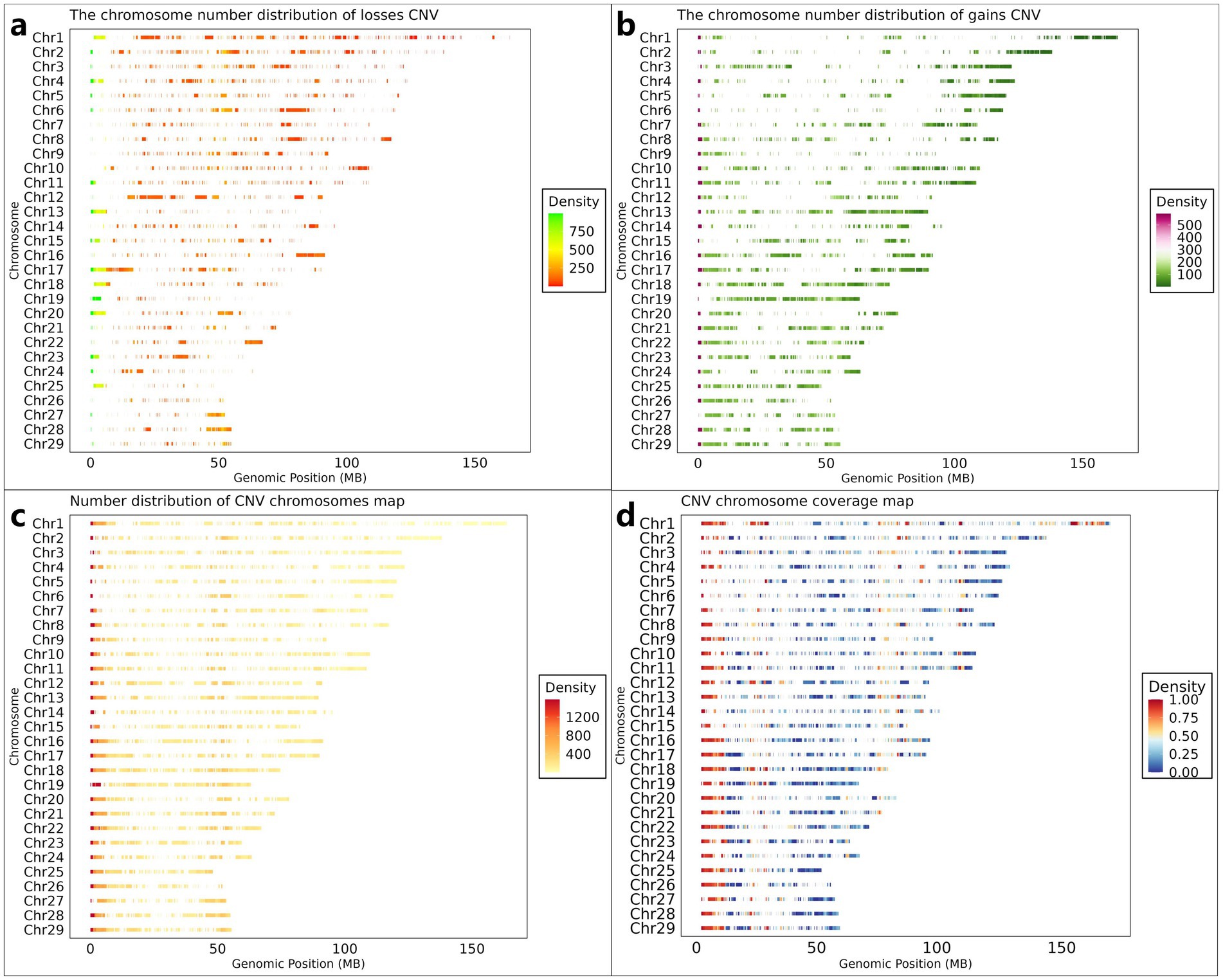 Four scatter plots displaying chromosome number distributions and coverage maps for Copy Number Variations (CNV). Plot (a) shows CNV losses with density heat map from green to red. Plot (b) illustrates CNV gains with density from green to purple. Plot (c) depicts CNV number distribution with density from red to yellow. Plot (d) presents CNV coverage with density from red to blue. Chromosomes are labeled from Chr1 to Chr29 on the vertical axis, and genomic positions are on the horizontal axis.