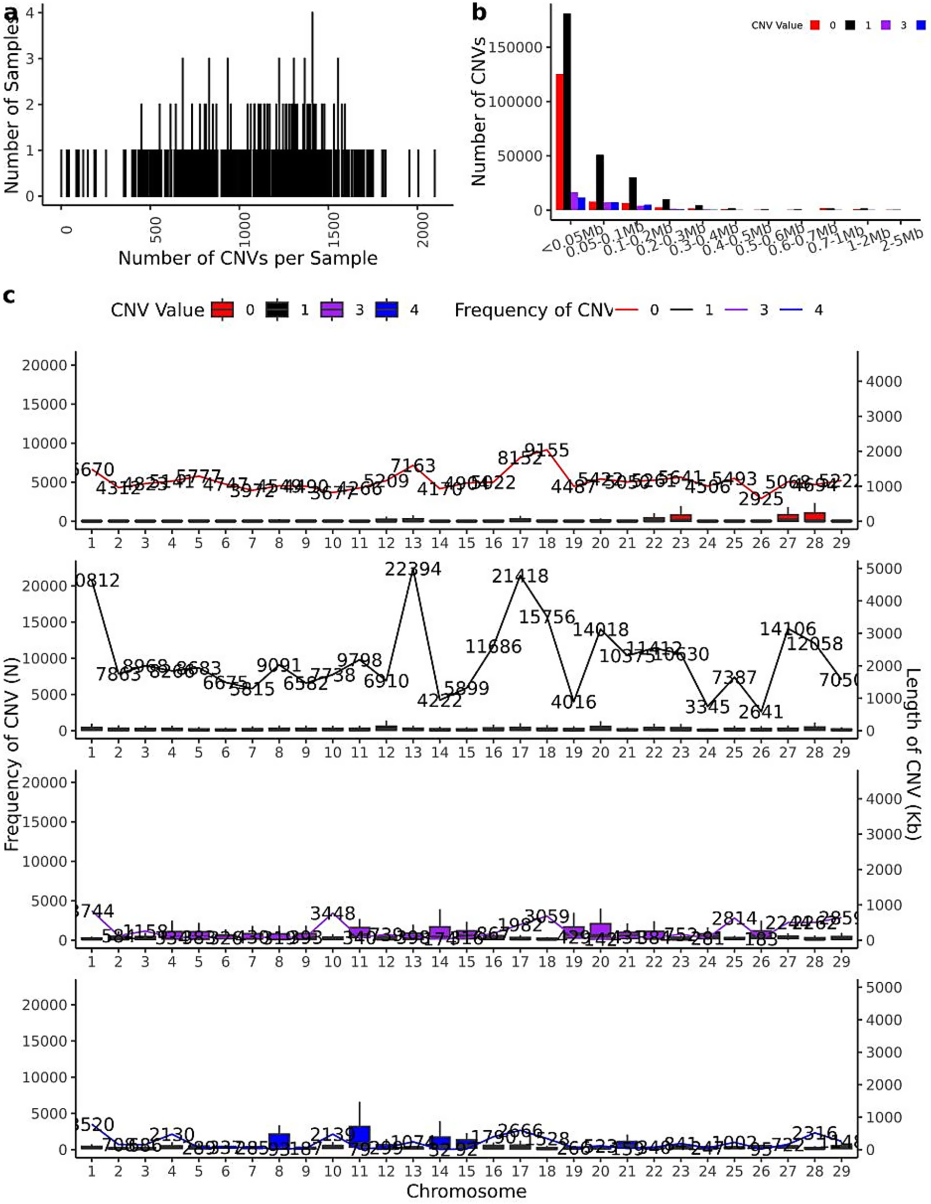 Three graphs depict copy number variations (CNVs). Graph (a) shows CNV distribution across samples, peaking around 500 CNVs. Graph (b) presents CNV counts along different lengths, with shorter lengths more frequent. Graph (c) illustrates CNV frequency across chromosomes for values 0, 1, 3, and 4, with differing patterns for each value and legends indicating color coding.