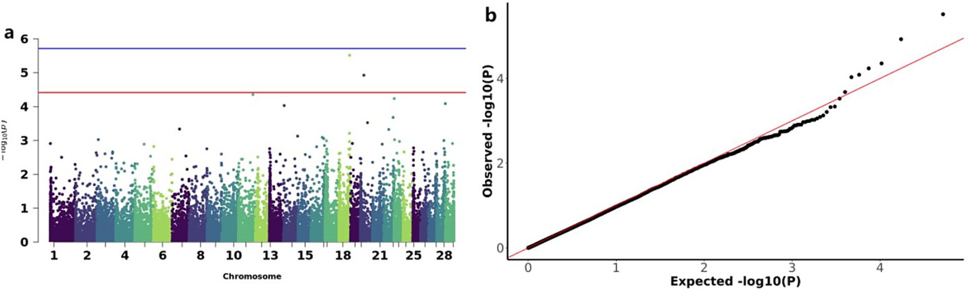 Panel a shows a Manhattan plot with -log10 p-values on the y-axis for 28 chromosomes, displaying varying data points with blue and red significance thresholds. Panel b depicts a Q-Q plot with observed versus expected -log10 p-values, indicating deviation from the expected line.