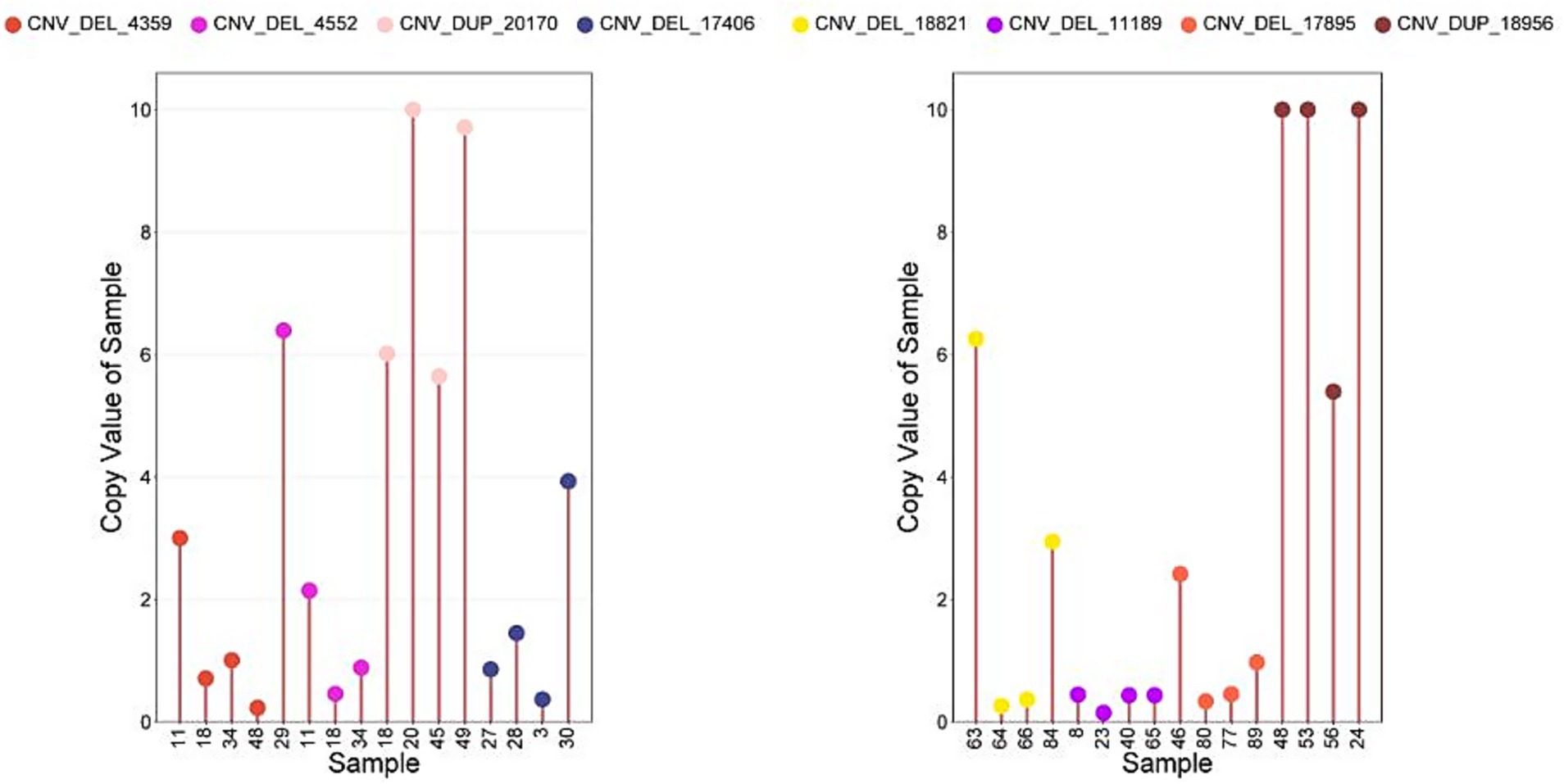 Two vertical scatter plots show copy value of samples for various CNV (Copy Number Variation) types. Each plot has a y-axis labeled