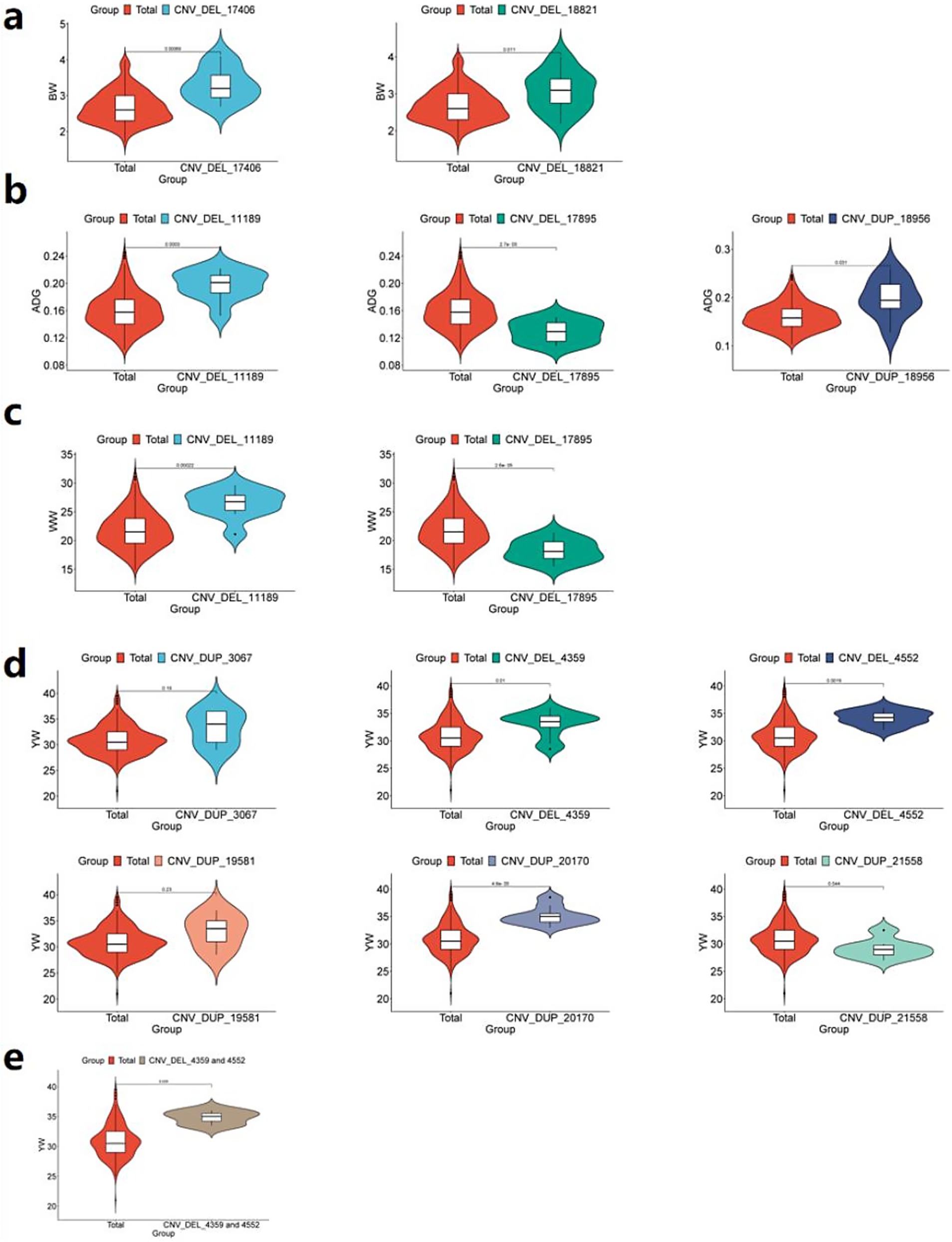 Violin plots labeled a to e display comparisons between different genetic groups. Each plot shows a total group compared to a specific CNV (Copy Number Variation) group. Statistical significance is indicated with asterisks. The data measures traits like BW (body weight) and YW (yearling weight). Each subgroup within the plots is color-coded.