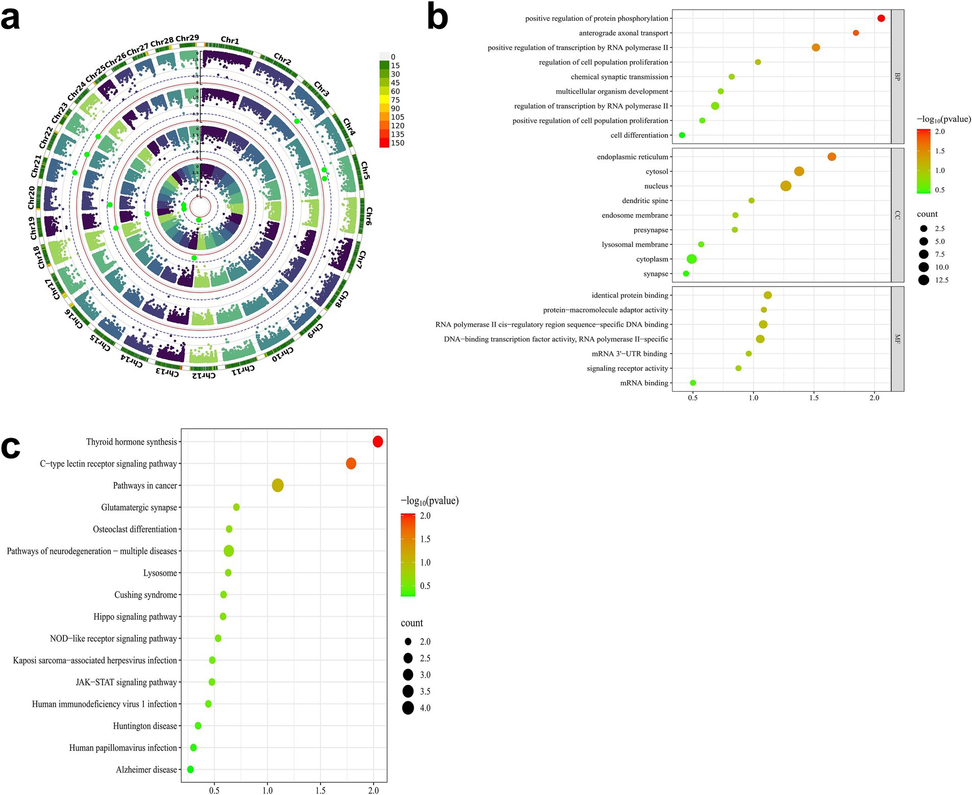 Chart a displays a circular plot illustrating genomic data across different chromosomes, color-coded by intensity. Chart b is a dot plot showing gene ontology categories with varying significance, indicated by dot size and color. Chart c is another dot plot depicting pathways and diseases with their significance levels, using a gradient and size to represent data points.