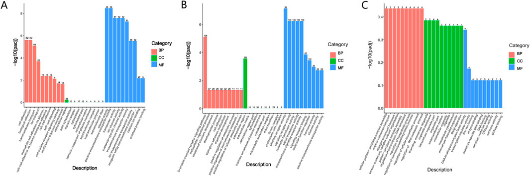 Three vertical bar charts labeled A, B, and C depict data categorized into Biological Processes (BP) in red, Cellular Components (CC) in green, and Molecular Functions (MF) in blue. The y-axis shows negative log-transformed p-values, while the x-axis lists descriptions. Each chart highlights varying data patterns across categories, with specific values indicated above the bars. Legends clarify the color-coded categories.