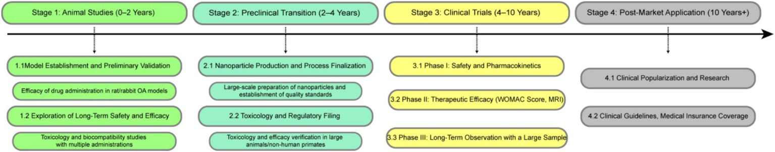 Flowchart detailing the stages of a drug development process. Stage 1: Animal Studies (0-2 years) includes model establishment and safety exploration. Stage 2: Preclinical Transition (2-4 years) involves nanoparticle production and regulatory filing. Stage 3: Clinical Trials (4-10 years) covers safety, efficacy, and long-term observation. Stage 4: Post-Market Application (10+ years) focuses on clinical research and insurance coverage. Each stage lists specific tasks and objectives.