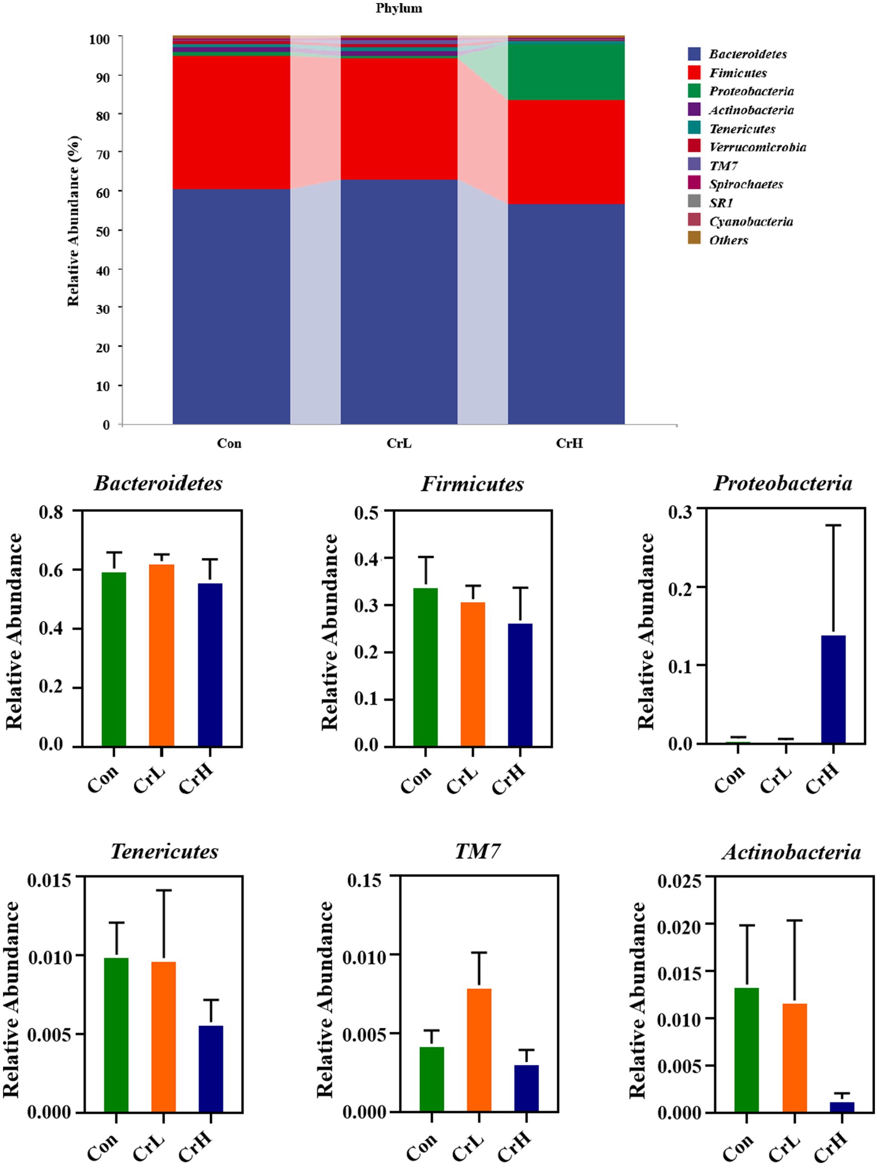 Stacked bar chart and six bar graphs showing the relative abundance of bacterial phyla in different conditions: Con, CrL, and CrH. The stacked bar chart displays multiple phyla, with color coding for different bacteria such as Bacteroidetes and Firmicutes. The individual bar graphs break down the relative abundance for Bacteroidetes, Firmicutes, Proteobacteria, Tenericutes, TM7, and Actinobacteria across the three conditions, with error bars indicating variability.