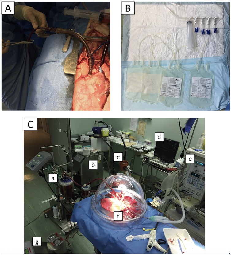 Panel A shows a surgical procedure with hands using tools near exposed organs. Panel B displays medical supplies, including bags and syringes, arranged on a sterile surface. Panel C depicts a medical setup with equipment labeled a to g, including a covered organ under a dome, surrounded by monitoring devices and surgical tools.