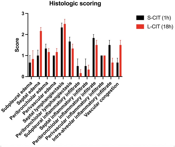 Bar graph showing histologic scoring of various lung conditions, comparing two groups: S-CIT (1 hour) in black and L-CIT (18 hours) in red. Conditions include subpleural edema, septal edema, and more. Scores range from zero to three, with L-CIT generally having higher scores, especially in vascular congestion. Error bars indicate variability.