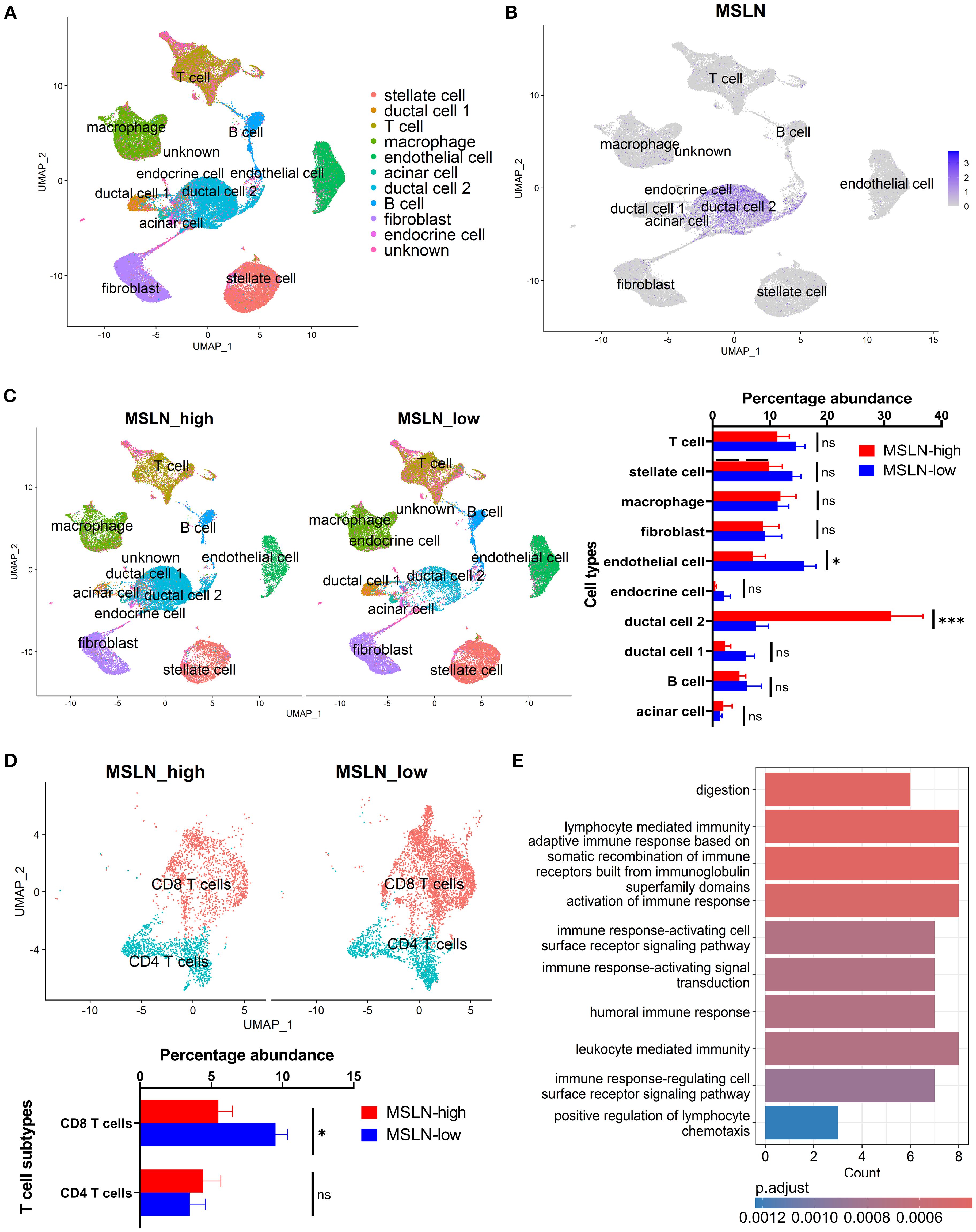 Panel A shows UMAP visualization of annotated cell types in the single cell RNA-seq dataset. Panel B shows the distribution of MSLN across the annotated cell types. Panel C shows differences in percentage abundances of cell types between MSLN-high and MSLN-low groups. Panel D shows the differences in percentage abundances of T cell subsets between MSLN-high and MSLN-low groups. Panel E shows the top downregulated gene ontology pathways in CD8 T cells from MSLN-high group versus the MSLN-low group.
