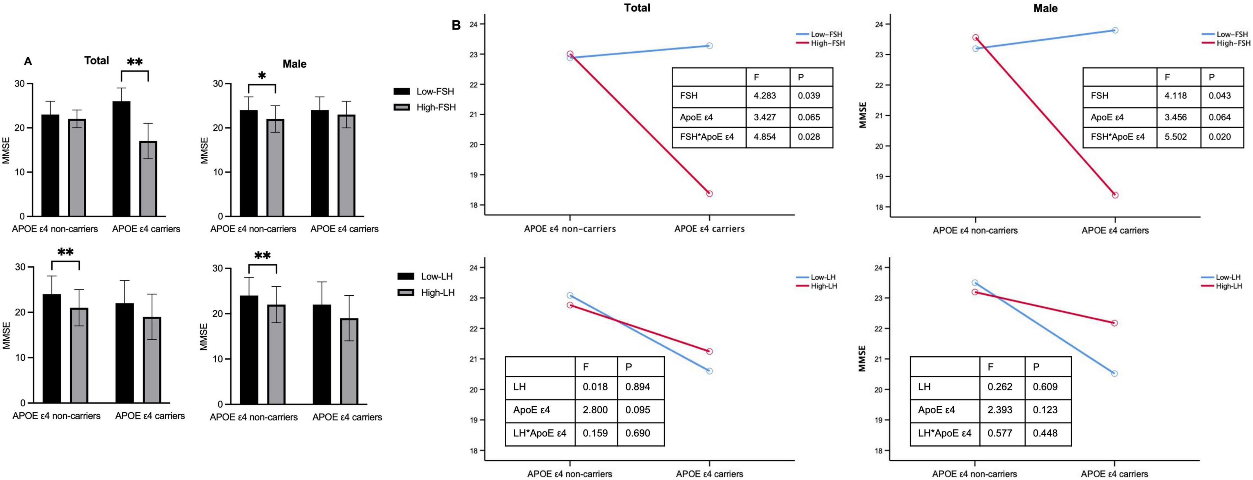 Bar and line graphs showing the relationship between APOE e4 variants and WMSE scores, divided by FSH and LH levels for total and male groups. In section A, bar graphs indicate WMSE scores for APOE e4 carriers and non-carriers, with significant differences marked for low and high FSH and LH levels. In section B, line graphs illustrate score trends with statistical tables highlighting F-values and probabilities.