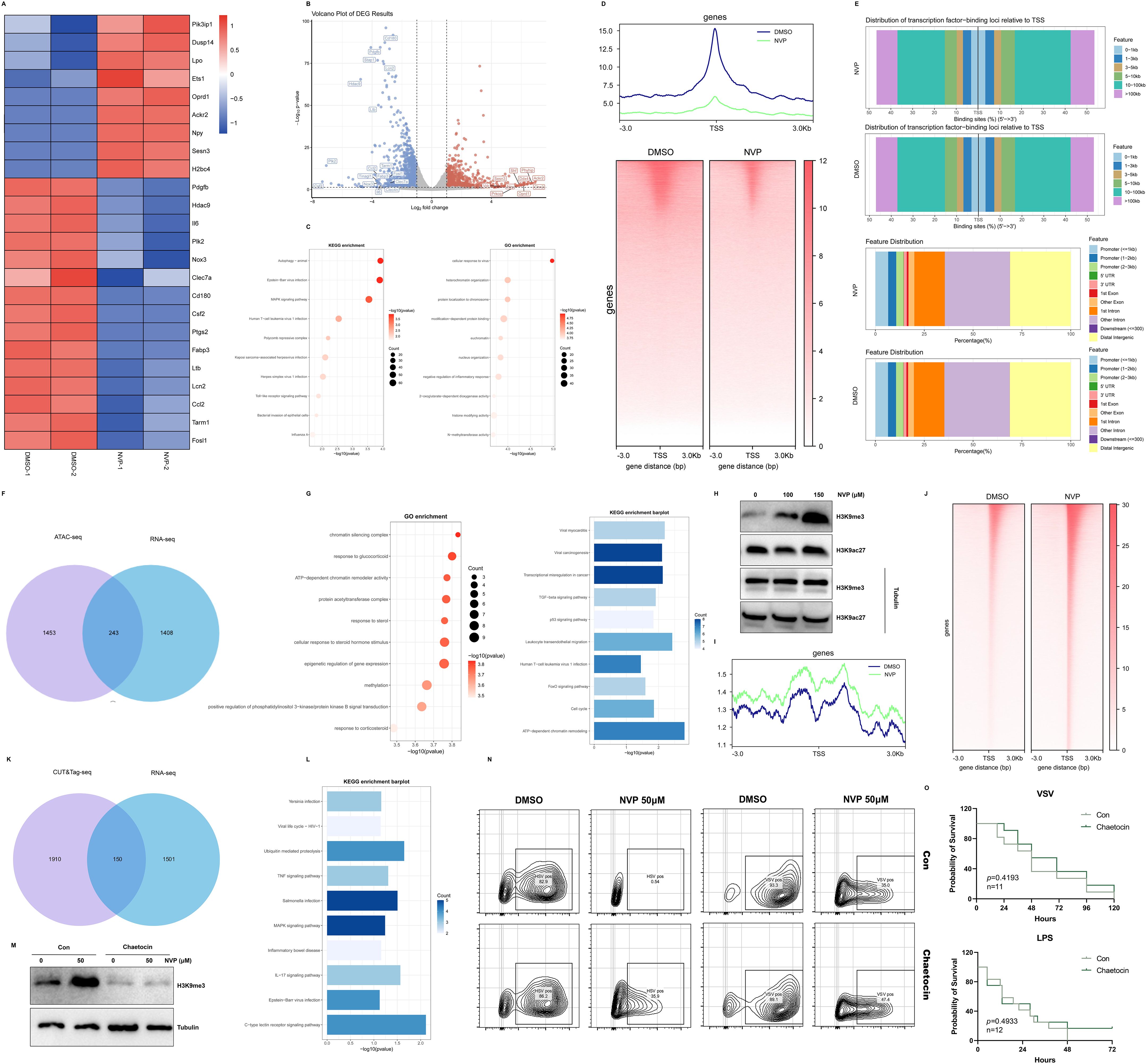 A collage of scientific data visualizations, including heat maps, Venn diagrams, line graphs, bar charts, and scatter plots. These images represent analyses like gene expression, factor binding, and enrichment targets. Western blot images and survival curves are also present, indicating molecular and statistical data related to biological samples and treatments. Each visualization highlights different aspects of data analysis and experimental results in a biological context.