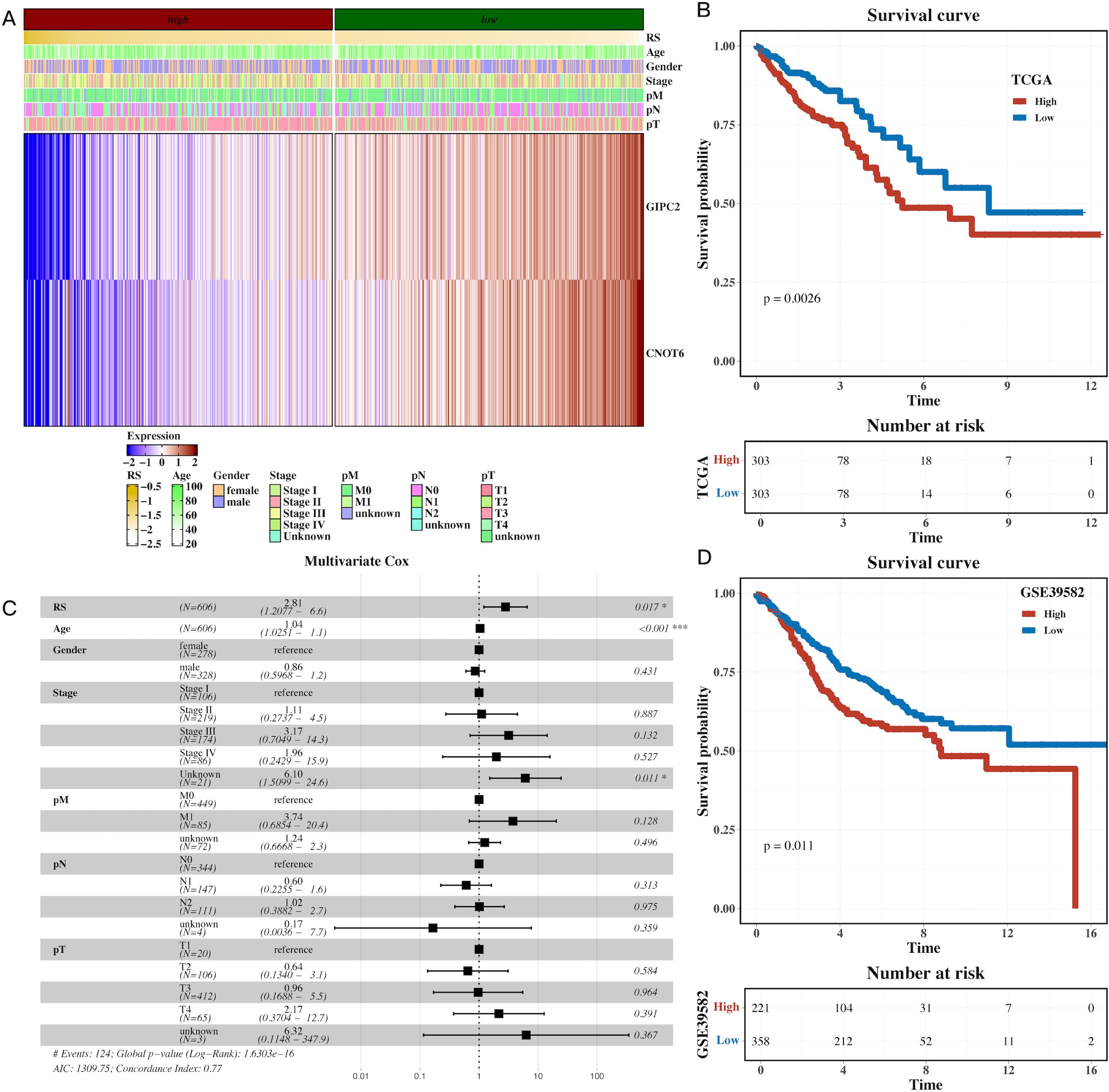 Heatmap (A) shows expression levels of GIPC2 and CNOT6 across various clinical parameters. Kaplan-Meier survival curves (B and D) compare high and low expression groups in TCGA and GSE39582 datasets, showing significant differences in survival probabilities. Multivariate Cox analysis (C) displays hazard ratios for different factors, highlighting significance of RS and pM with p-values.