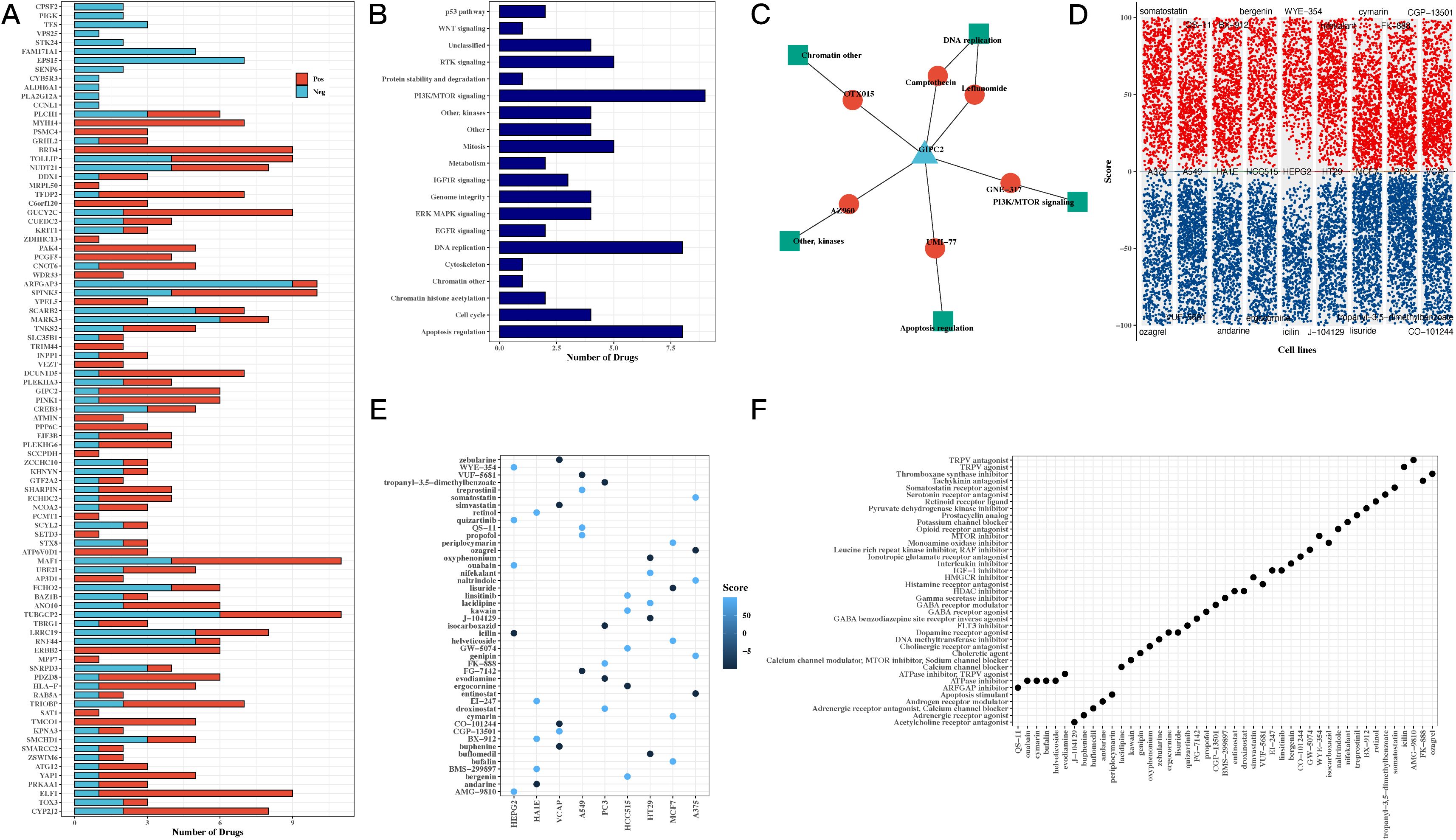 Composite image with six panels displaying various data visualizations related to drug interactions and cellular pathways: A) Stacked bar chart showing the number of drugs affecting various genes, with positive and negative effects. B) Bar chart illustrating the number of drugs associated with multiple cellular pathways. C) Network diagram depicting interactions between drugs and cellular processes, marked by nodes and edges. D) Scatter plot showing scores across different cell lines and drugs. E) Bubble plot depicting drug scores in various cell lines, with color intensity indicating score magnitude. F) Dot plot of drug targets with dots representing drug affinity across targets.