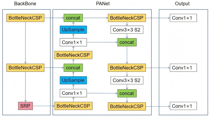 Diagram of a neural network architecture divided into three sections: BackBone, PANet, and Output. BackBone features BottleNeckCSP and SRP. PANet includes multiple BottleNeckCSP, UpSample, Conv1×1, concat, and Conv3×3 S2 components. Output section has Conv1×1 layers, depicting data flow and processing sequence in the network.