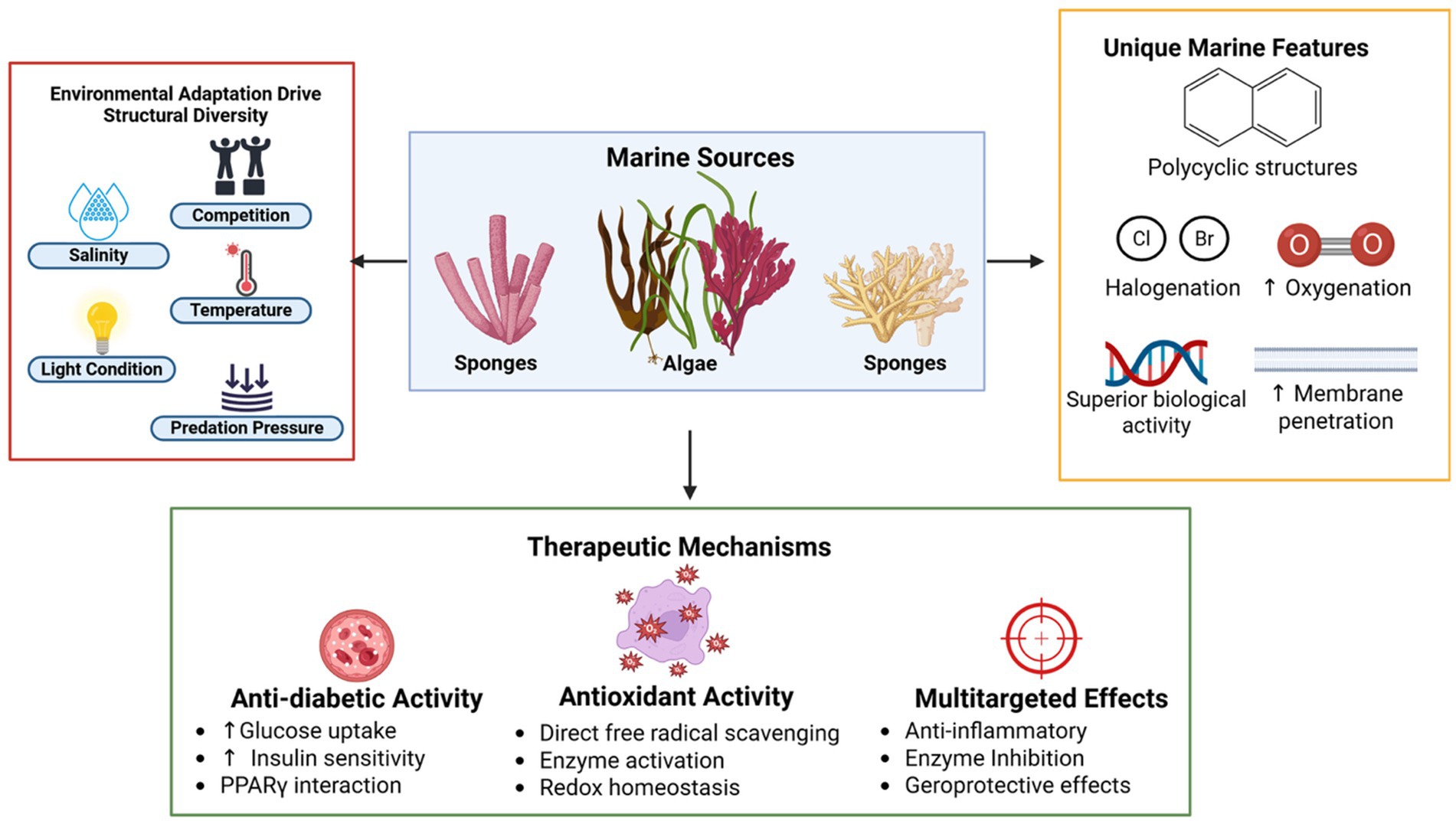 Diagram illustrating how environmental adaptation influences marine structural diversity, highlighting salinity, competition, temperature, light, and predation. Marine sources like sponges and algae lead to unique features such as polycyclic structures and halogenation. Therapeutic mechanisms include anti-diabetic activity, antioxidant activity, and multitargeted effects.