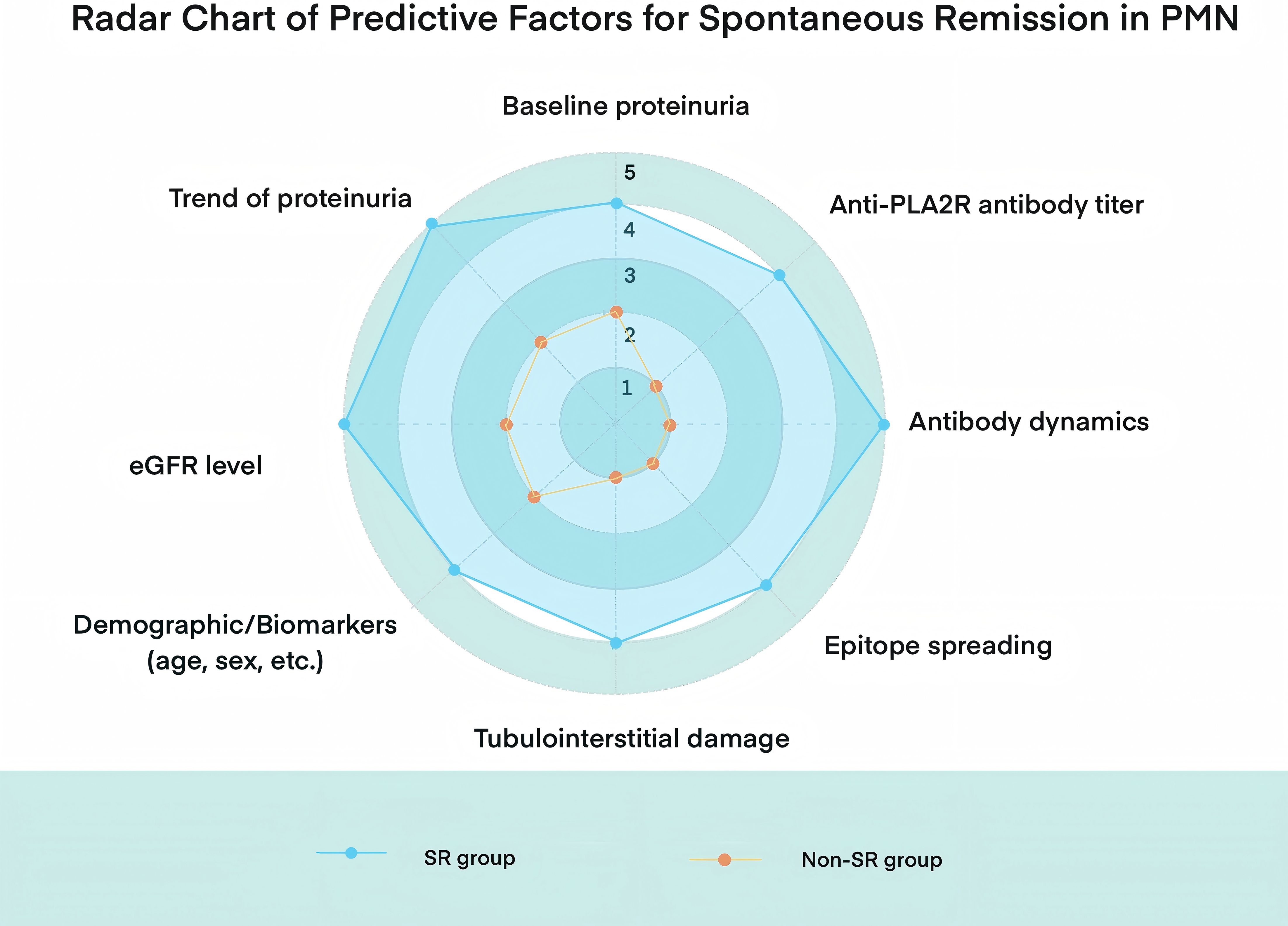 Radar chart illustrating predictive factors for spontaneous remission in PMN. It compares factors like baseline proteinuria, anti-PLA2R antibody titer, and eGFR level between the SR and Non-SR groups, shown in blue and orange, respectively.