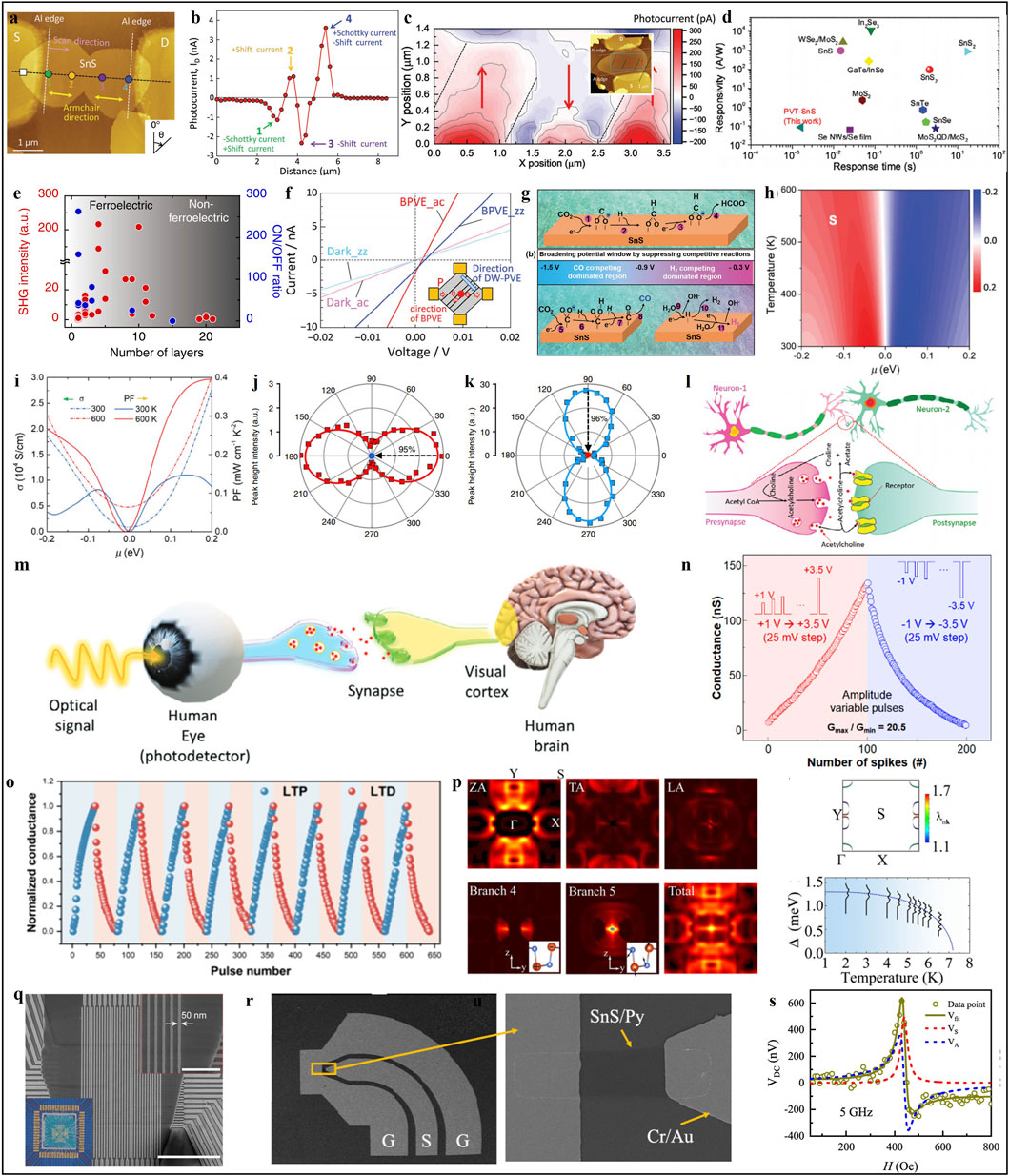 A collage of scientific graphs and illustrations depicting various aspects of electronic and optical properties of materials. It includes photodetector mechanisms, photoconductivity mapping, data plots comparing different materials, and illustrations of synaptic operations. Additionally, a diagram shows the relationship between optical signals, the human eye, synapses, and the brain. SEM images display microstructures of materials, highlighting specific features like the SnS/Py layer and Cr/Au electrode. The montage illustrates a range of topics related to materials science, optics, and neuroscience.