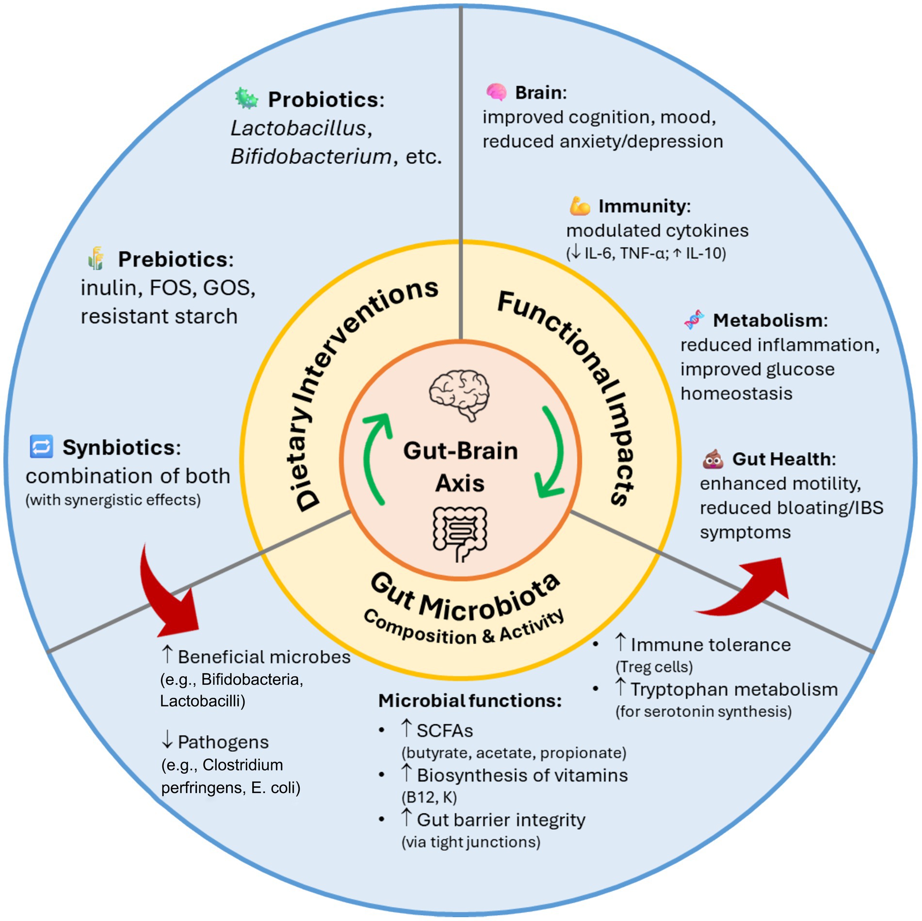 Diagram illustrating the gut-brain axis. Central circle shows