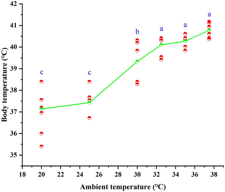 Line graph depicting body temperature in degrees Celsius on the y-axis and ambient temperature in degrees Celsius on the x-axis. Data points show body temperature increasing as ambient temperature rises. Scatter points with letters A, B, C indicate statistical significance at each ambient temperature level.
